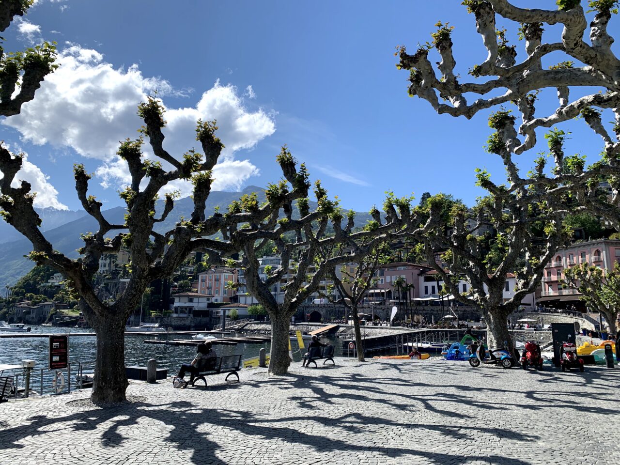 velotour_bellinzona_ascona__IMG_8097