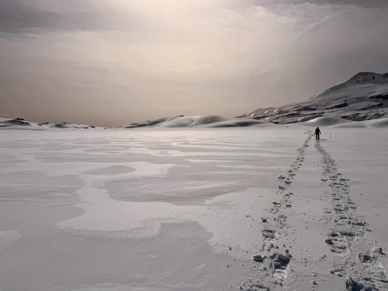 schneeschuh_safari_graubuenden_oberer_segnesboden_flims__IMG_0459