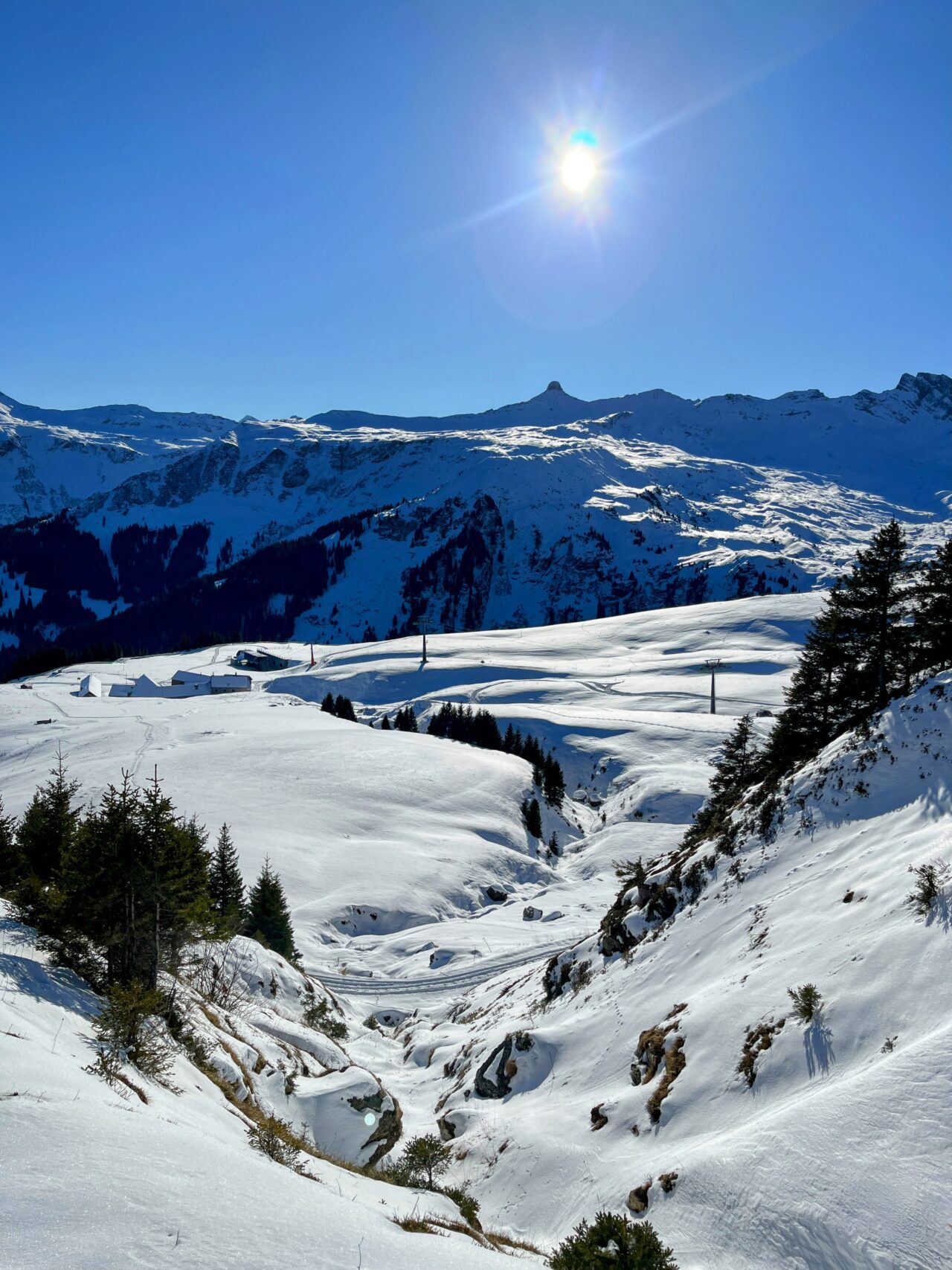 schneeschuhwandern-flumserberg-_IMG_7922 (Kopie)