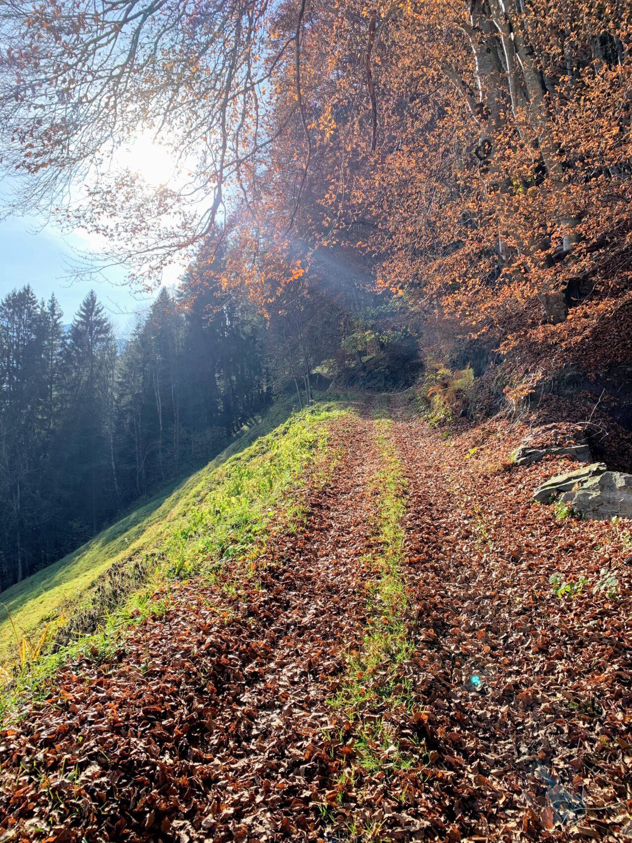 via_alpina_etappe_2_sargans_weisstannen_
