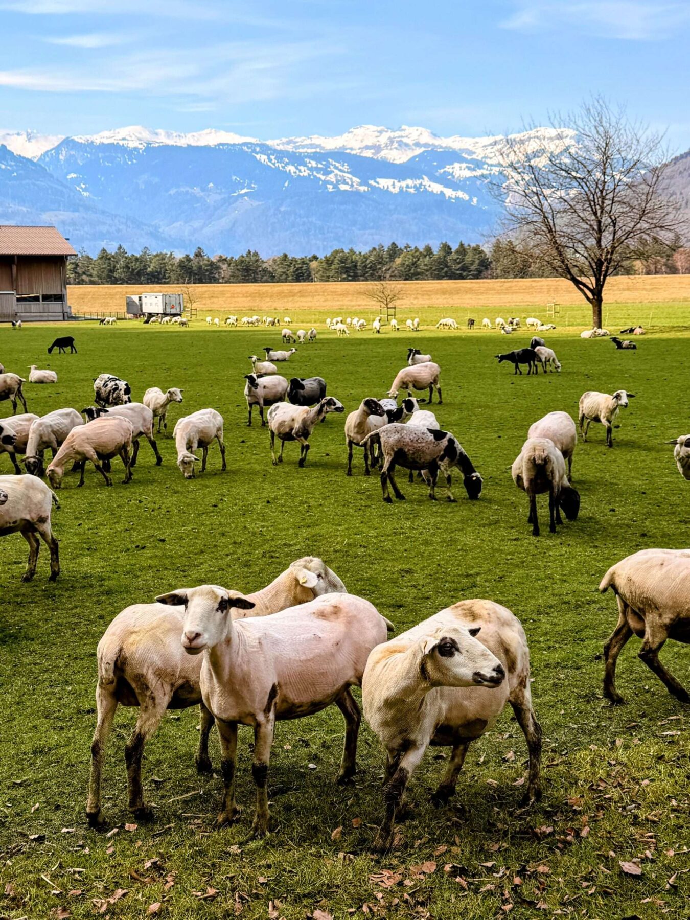 wanderung_rund_ums_ellhorn_