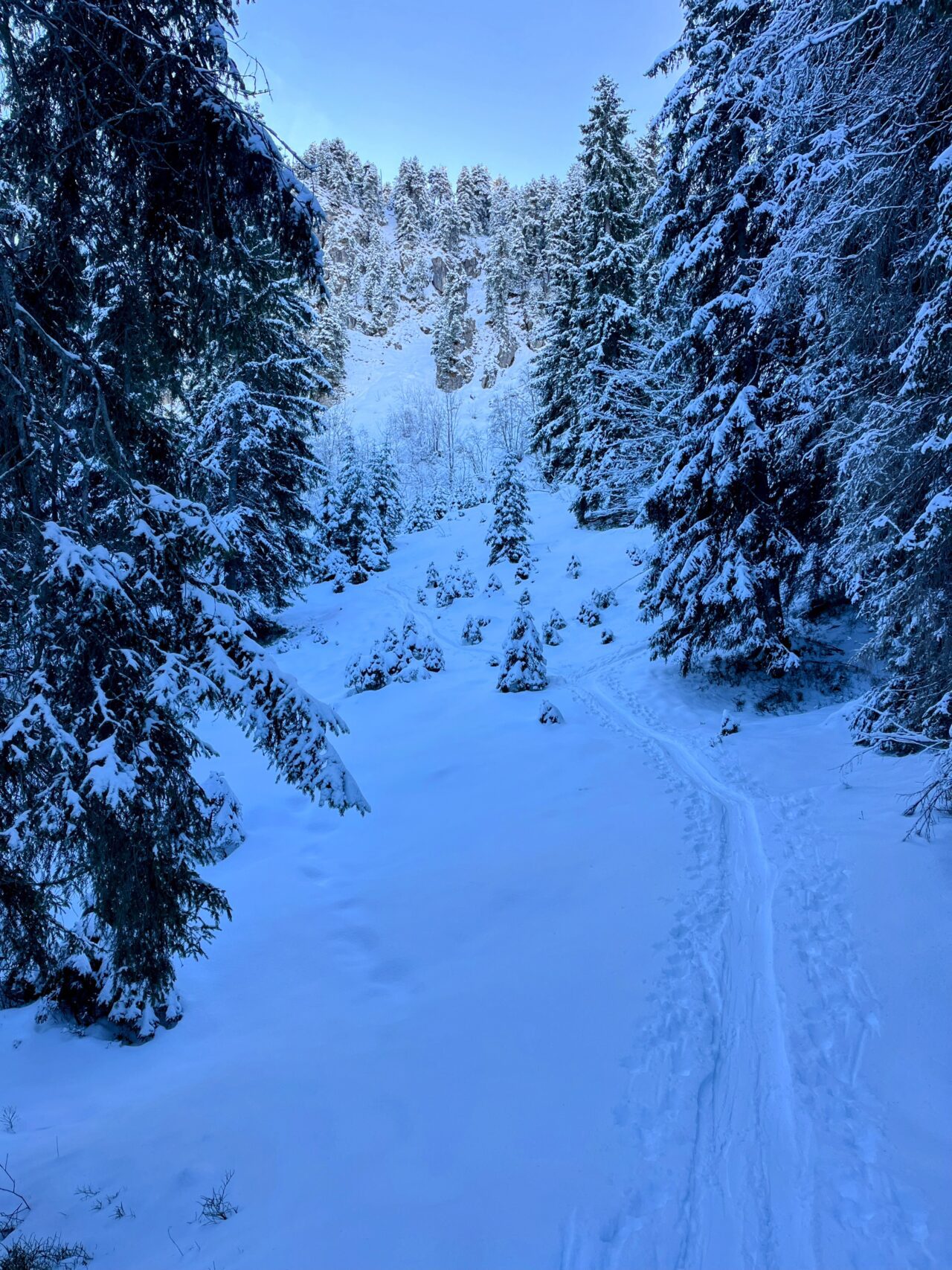 schneeschuhtour_laucherenstoeckli_ibergeregg_brunni__IMG_5750