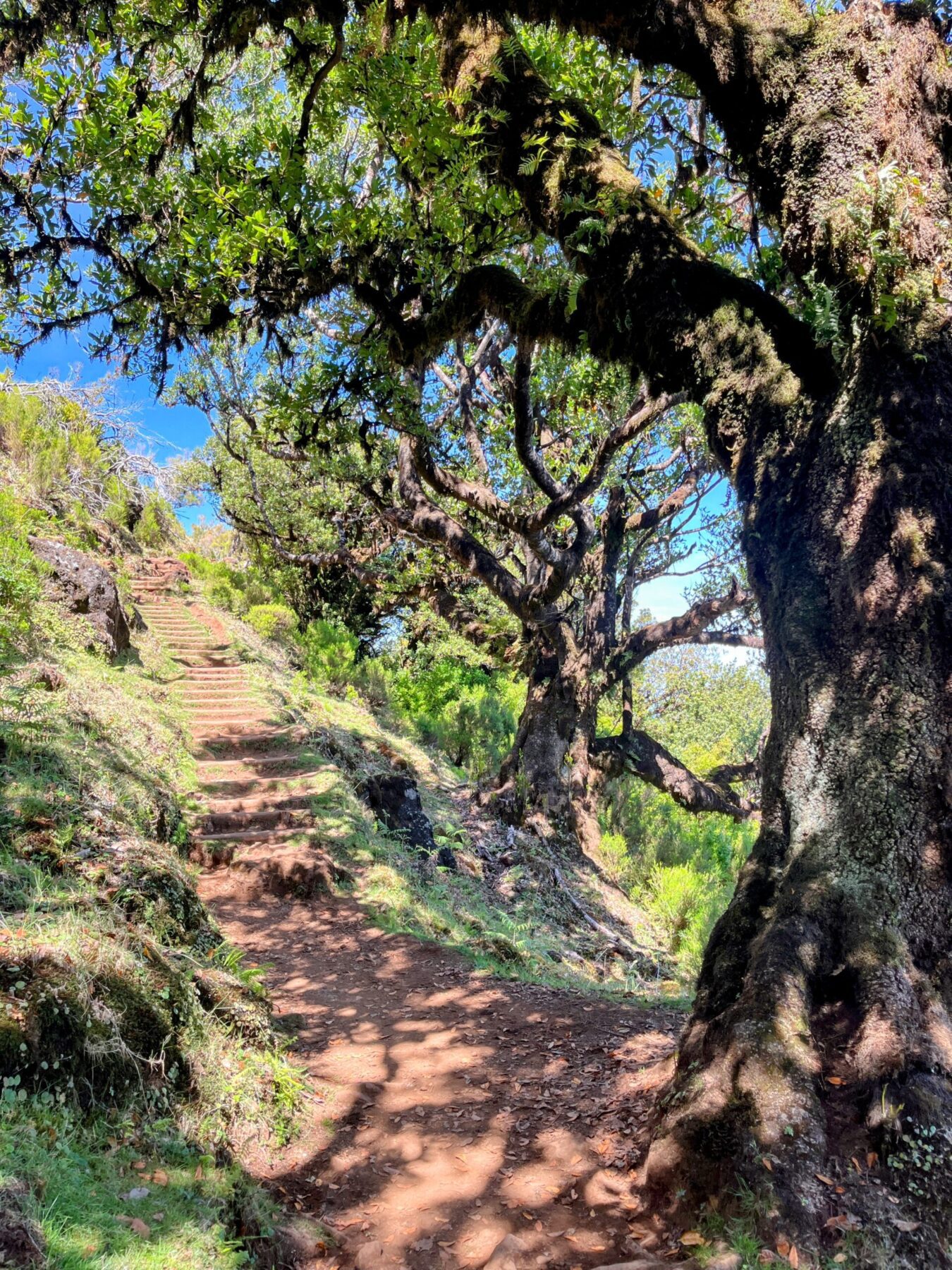 wanderung_fanal_