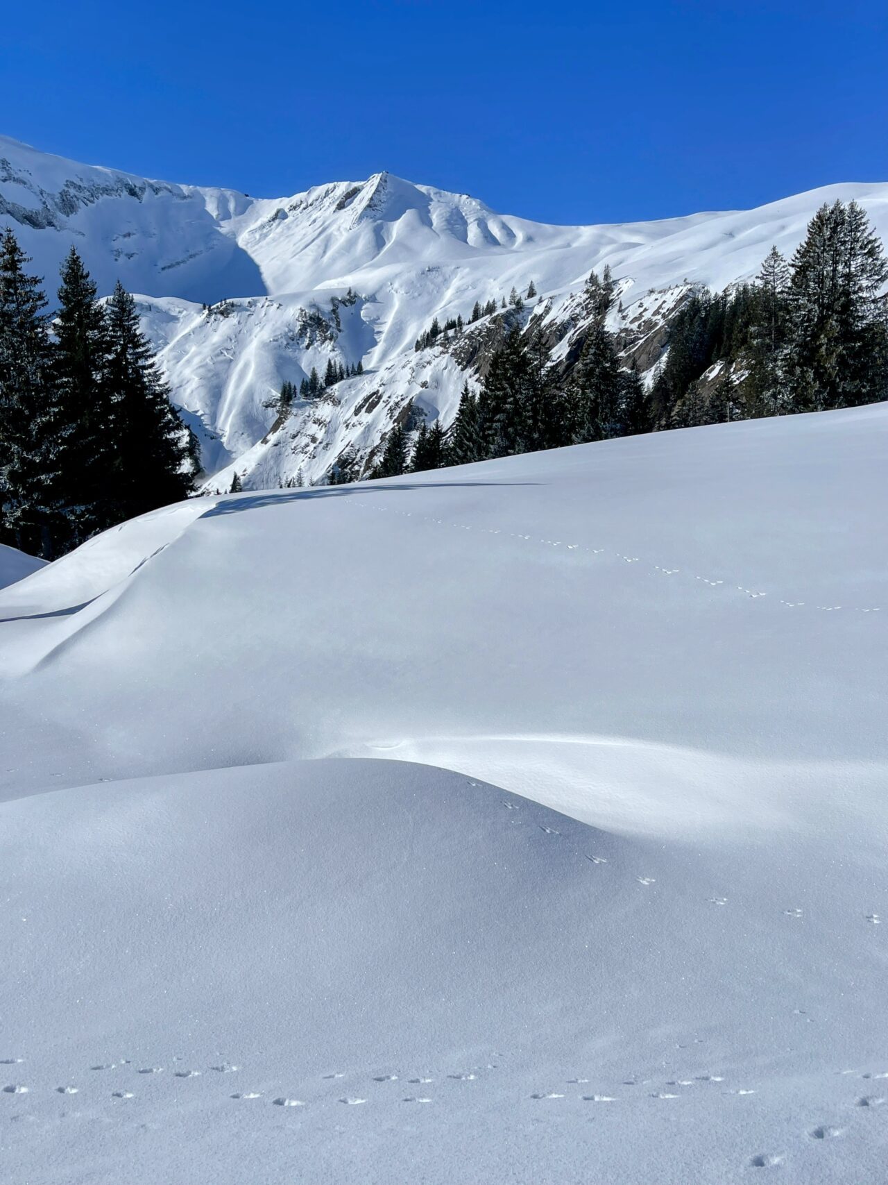 schneeschuhwanderung_turren_schoenbuehl_hoech_gumme_