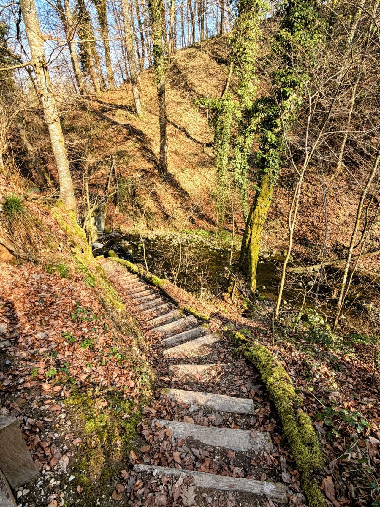 wanderung_reuss_und_aare_wanderung_mellingen_brugg_wildegg_