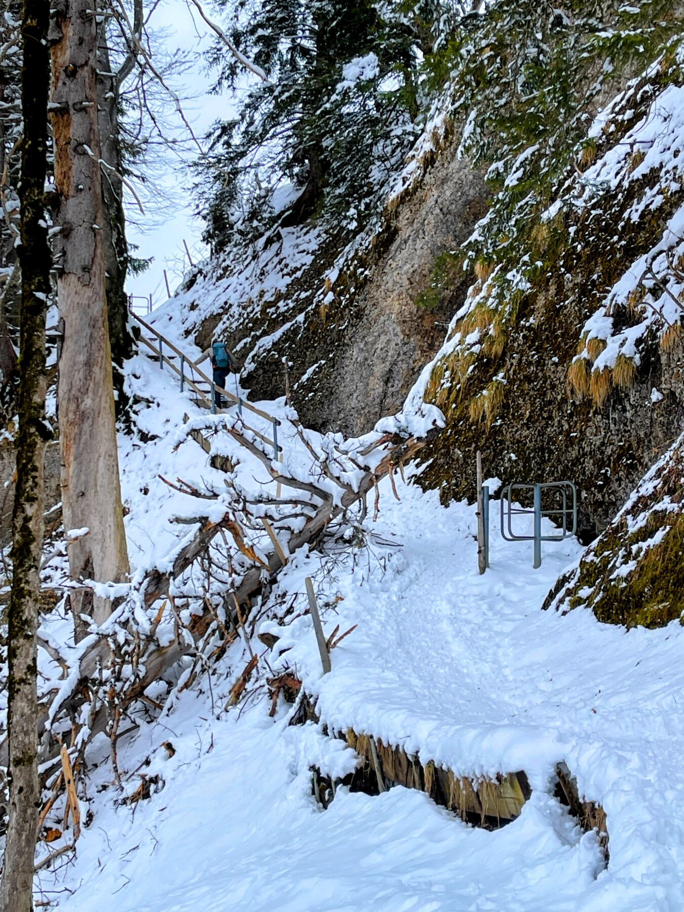schneeschuhwanderung_atzmaennig_chruezegg_