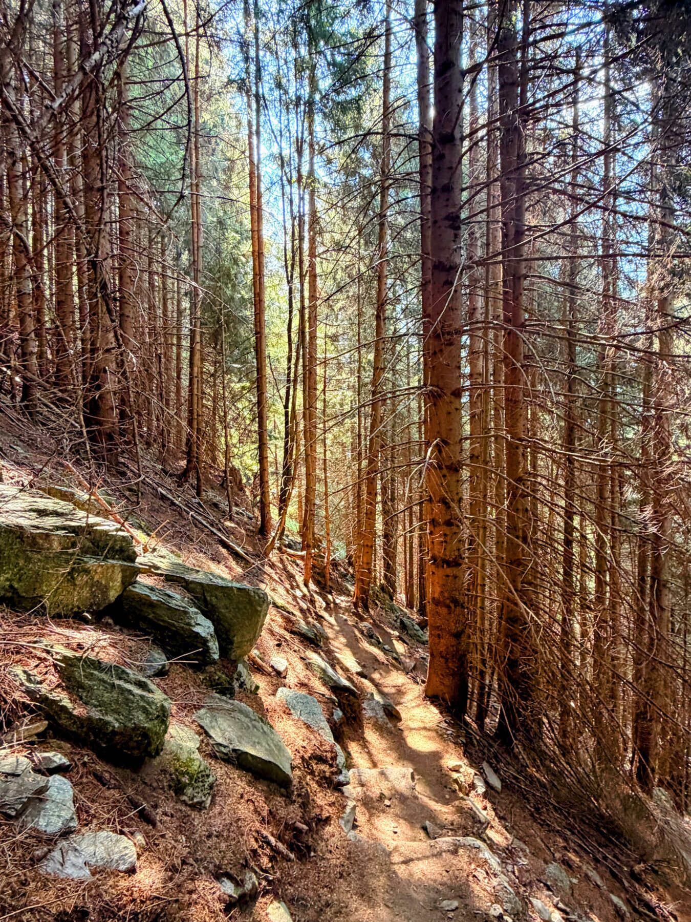 wanderung_sentiero_alpino_bregaglia_sciorahuette_sasc_furae_huette__IMG_0473