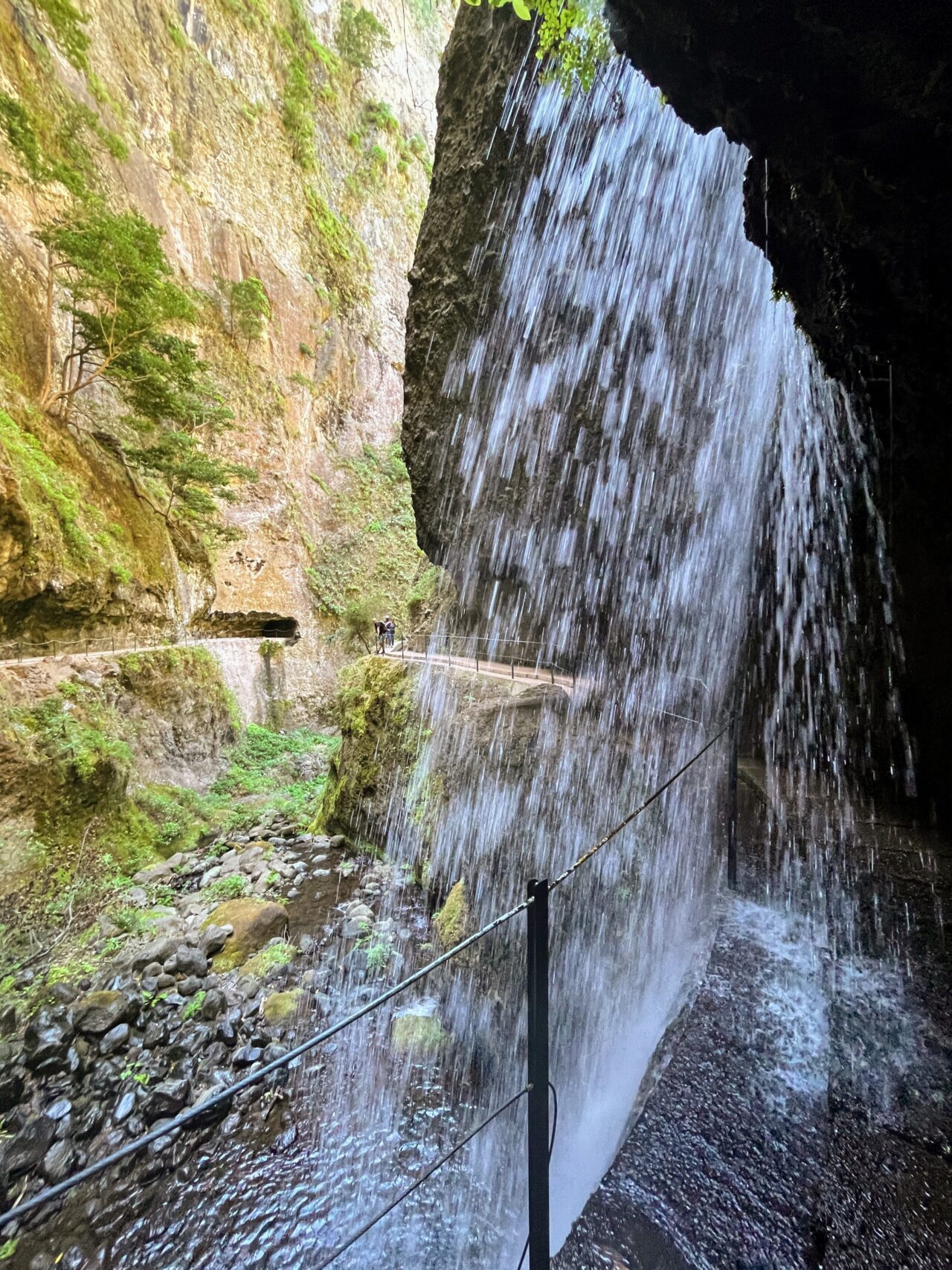 wanderung_levada_nova_