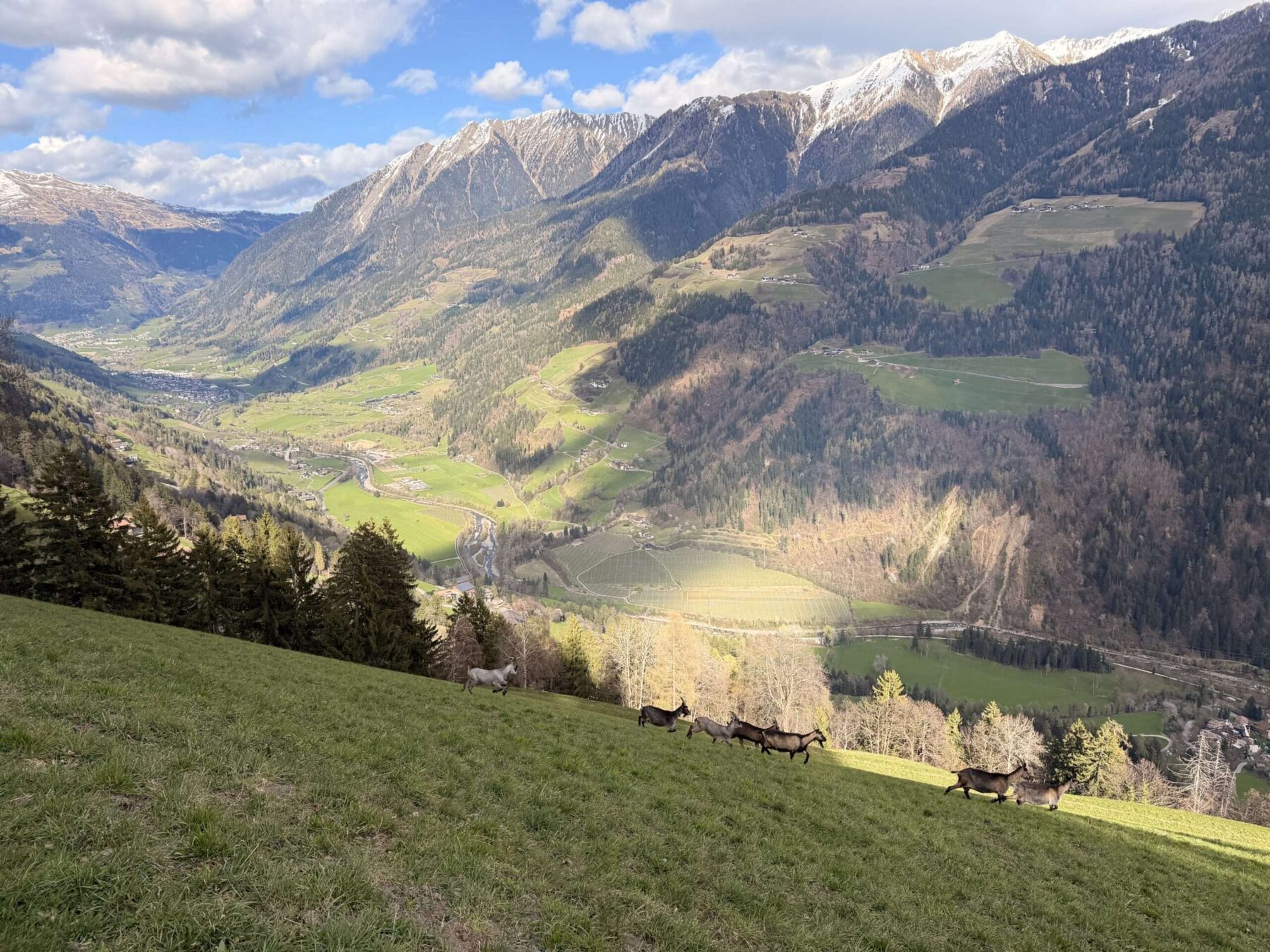 wanderung_Meraner_hoehenweg_hochmuth_mutthoefe_longfall_saltaus_