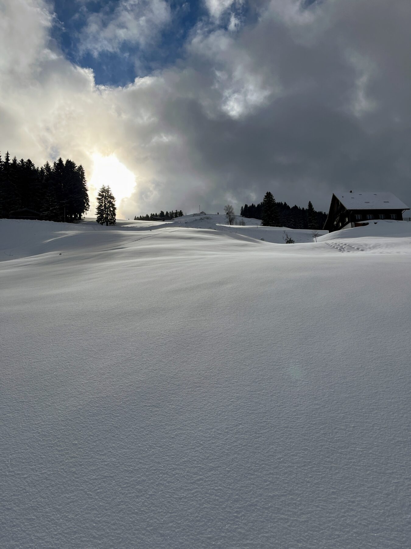 schneeschuhwandern_tanzboden__IMG_1856