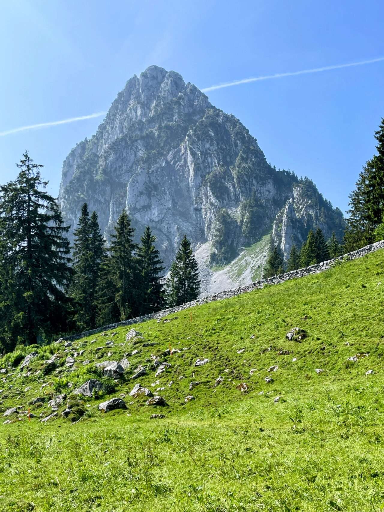 wanderung_brunni_hagenegg_mostelberg_sattel_