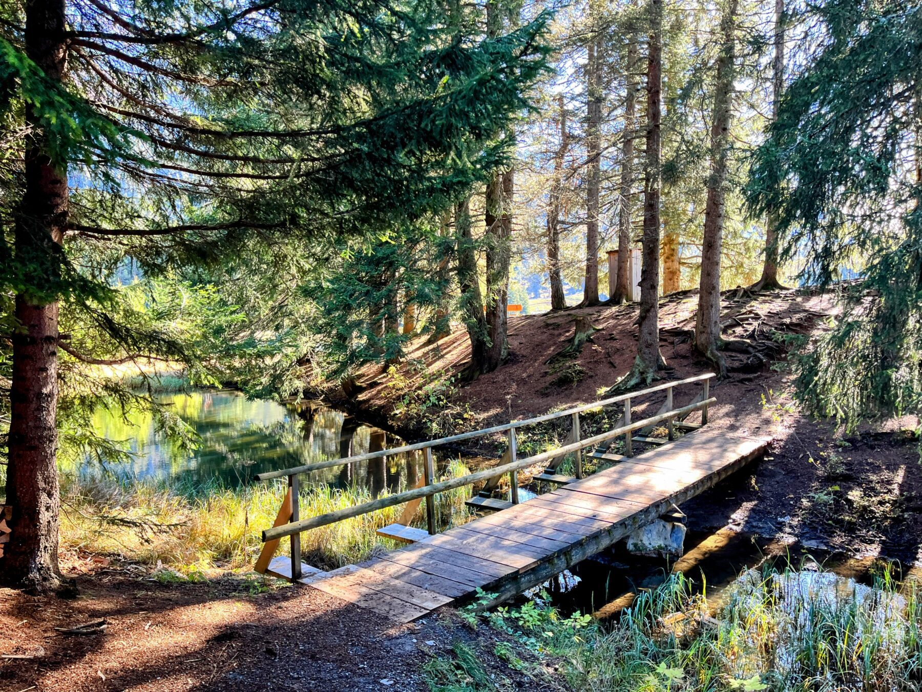 wanderung-via-sett-lenzerheide-churwalden-
