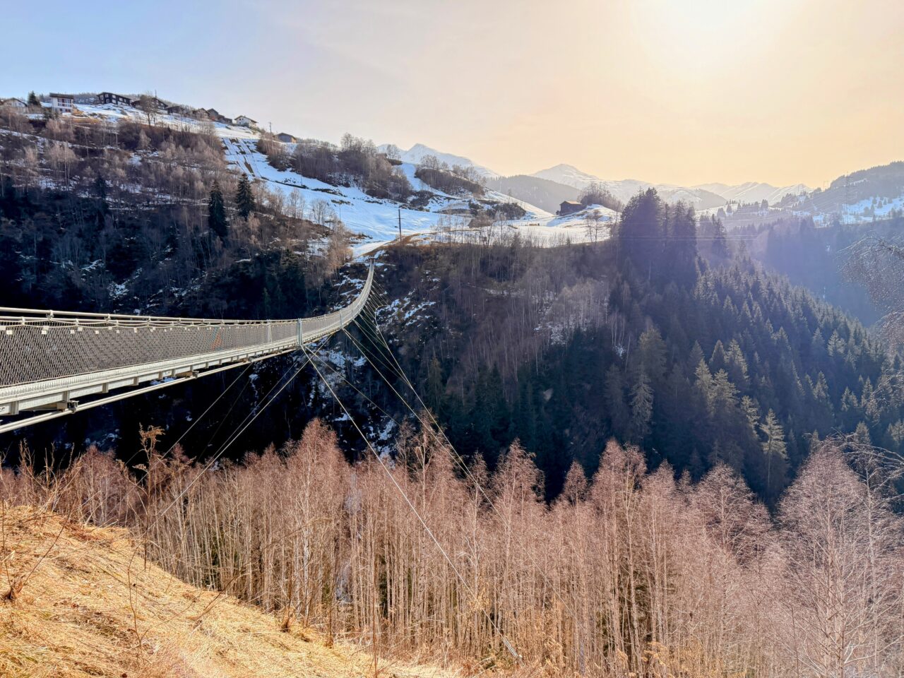schneeschuhsafari-graubuenden-sedrun-disentis-_IMG_0355
