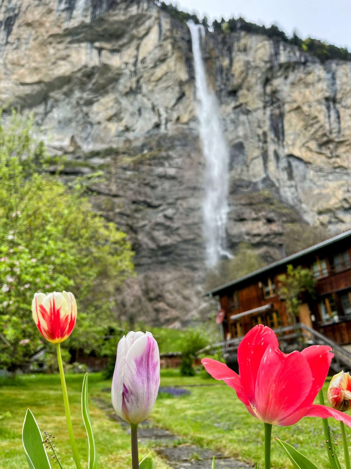 wanderung_stechelberg_lauterbrunnen_