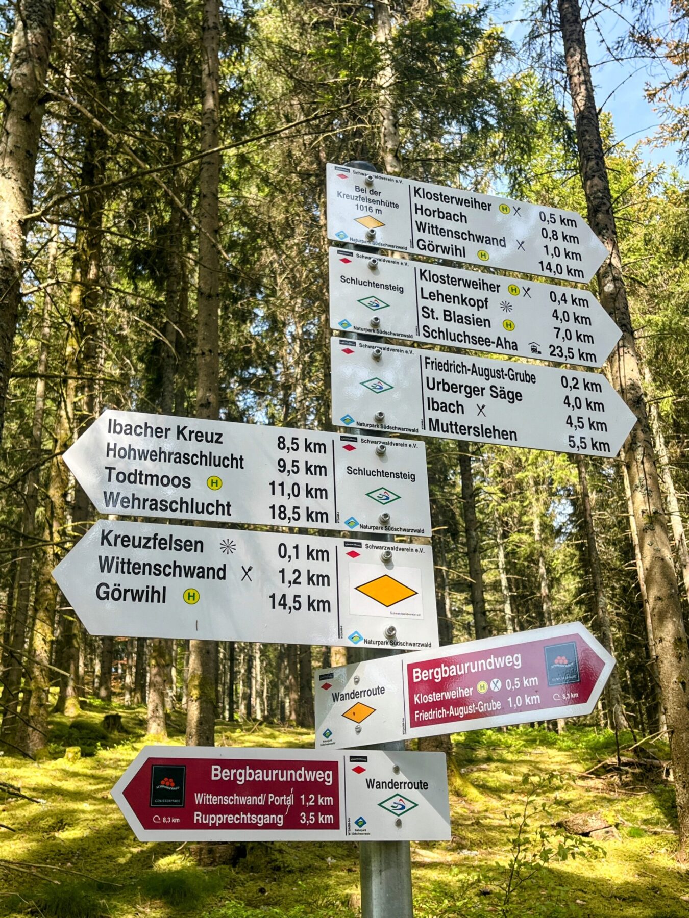 wanderung_schluchtensteig_schwarzwald_
