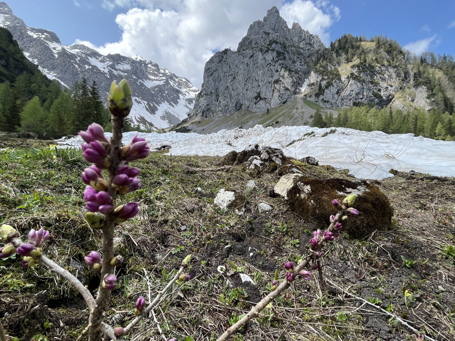 wanderung_sarotlahütte_