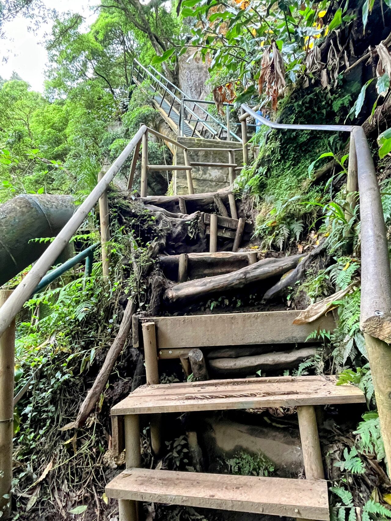 Wanderung_Salto_do_Cabrito_