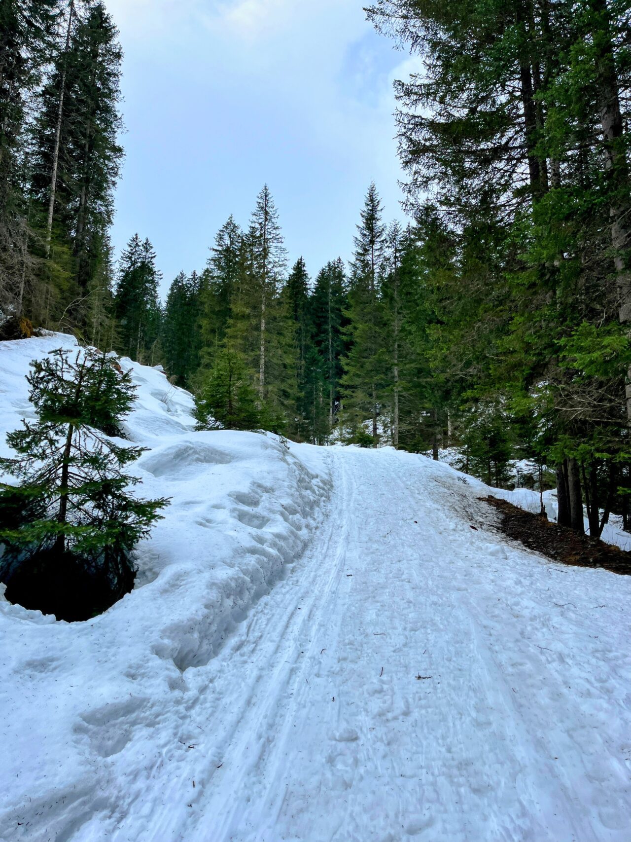 winterwanderung_und_schlitteln_lindauer_huette__IMG_4450
