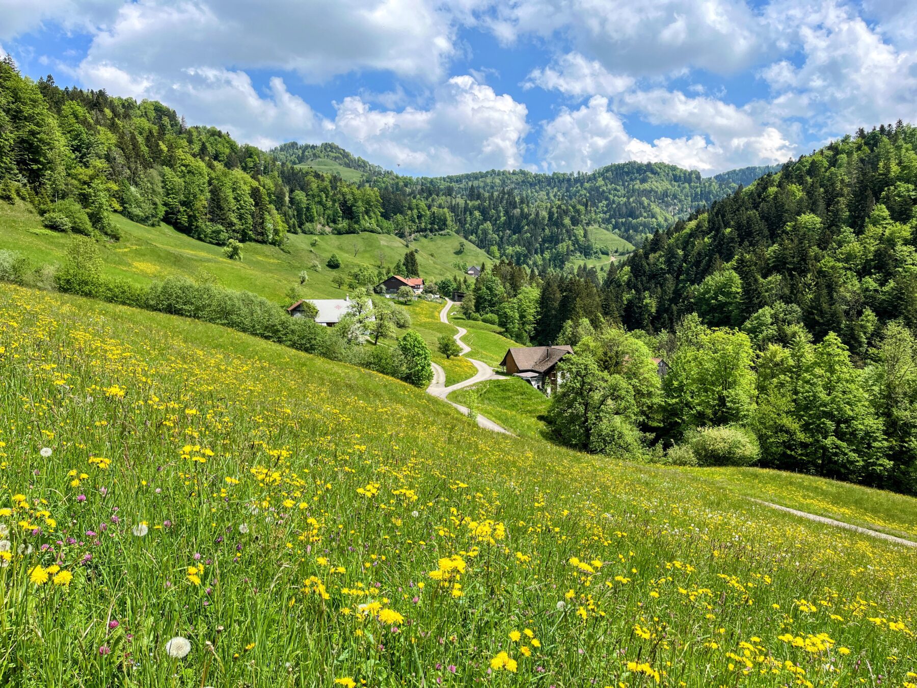 wanderung_schnebelhorn_