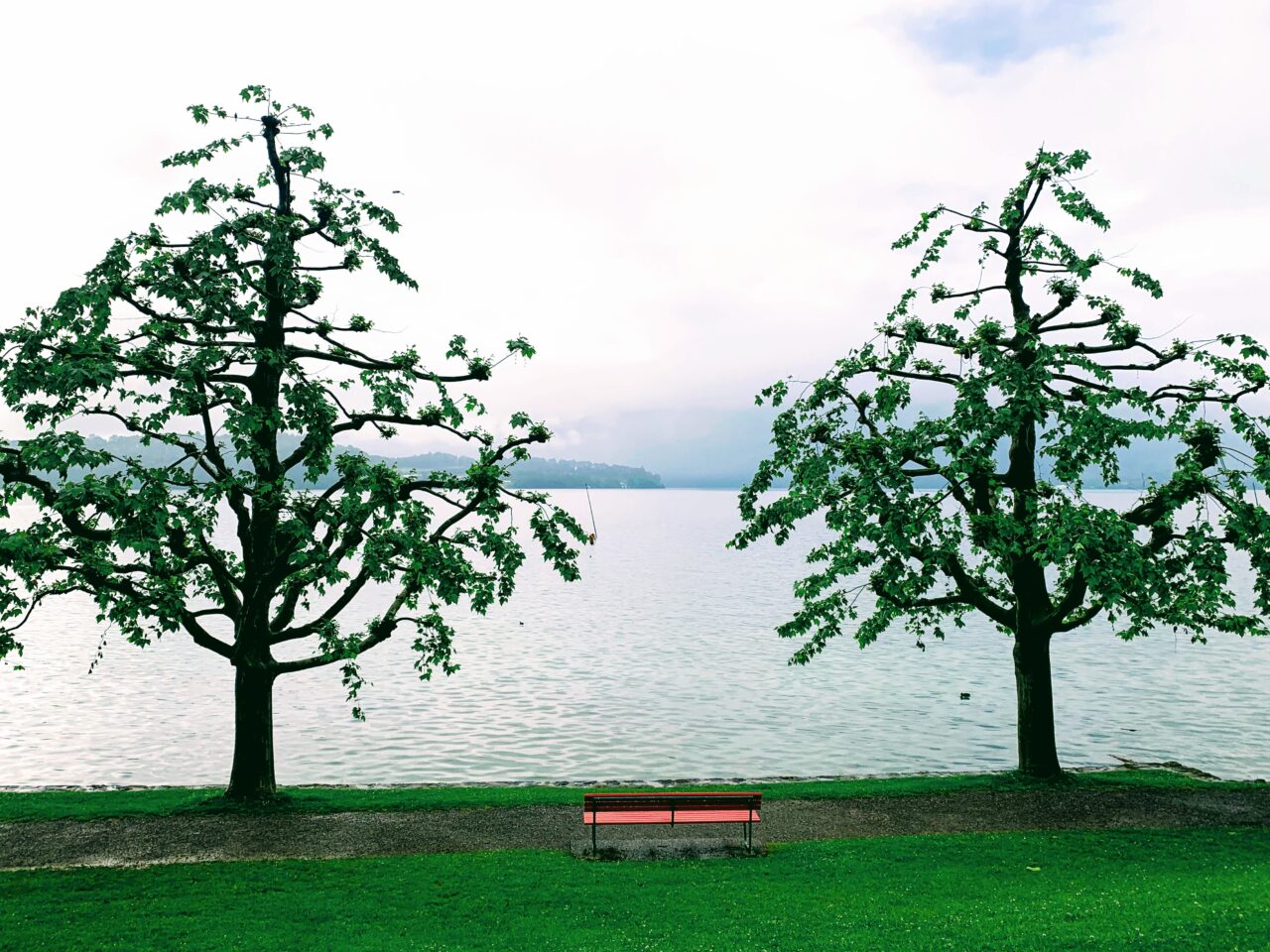 wanderung_waldstaetterweg_kuesnacht_am_rigi_luzern_