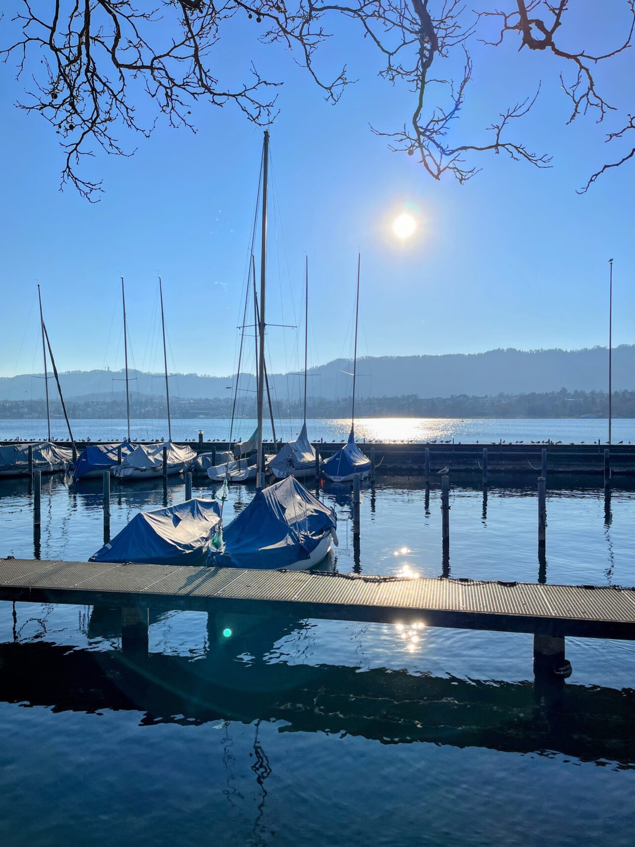 wanderung_zürich_loorenkopf_