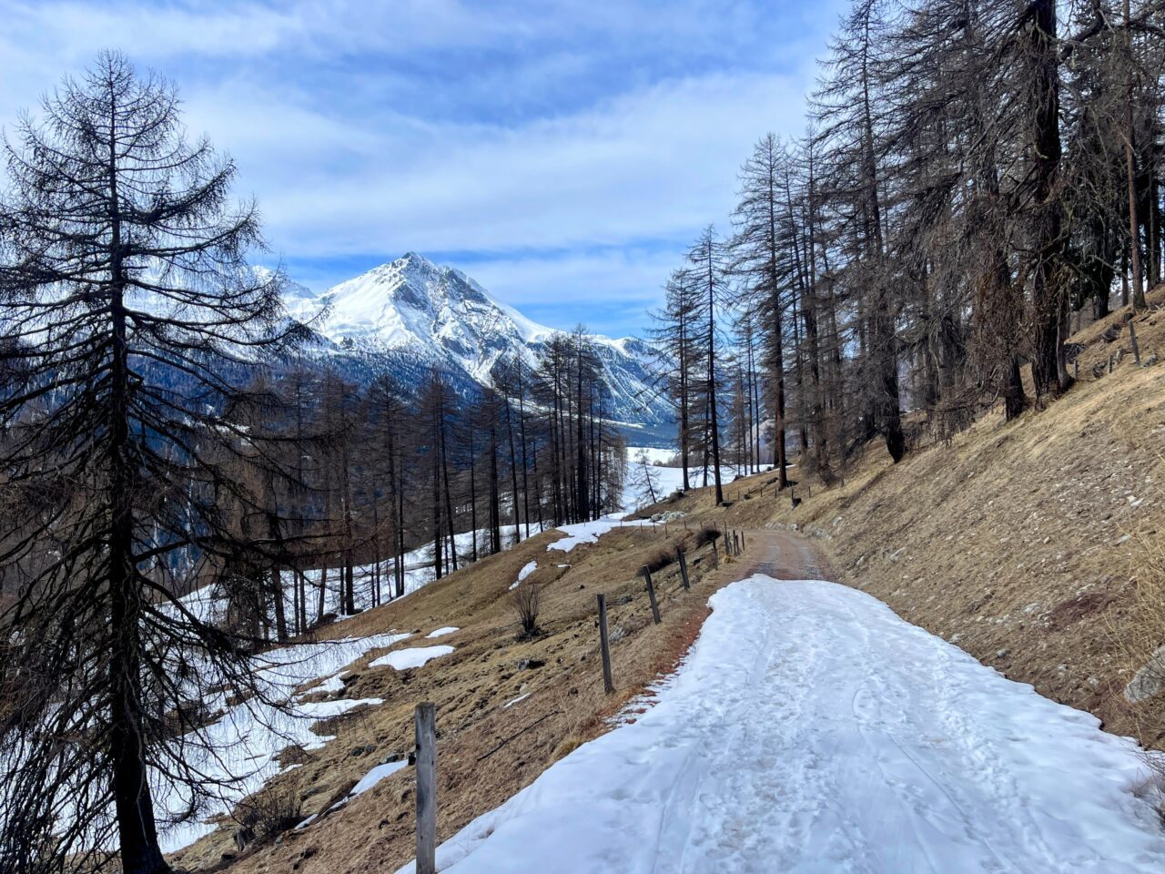 winterwanderung_lü_santa_maria__IMG_8504