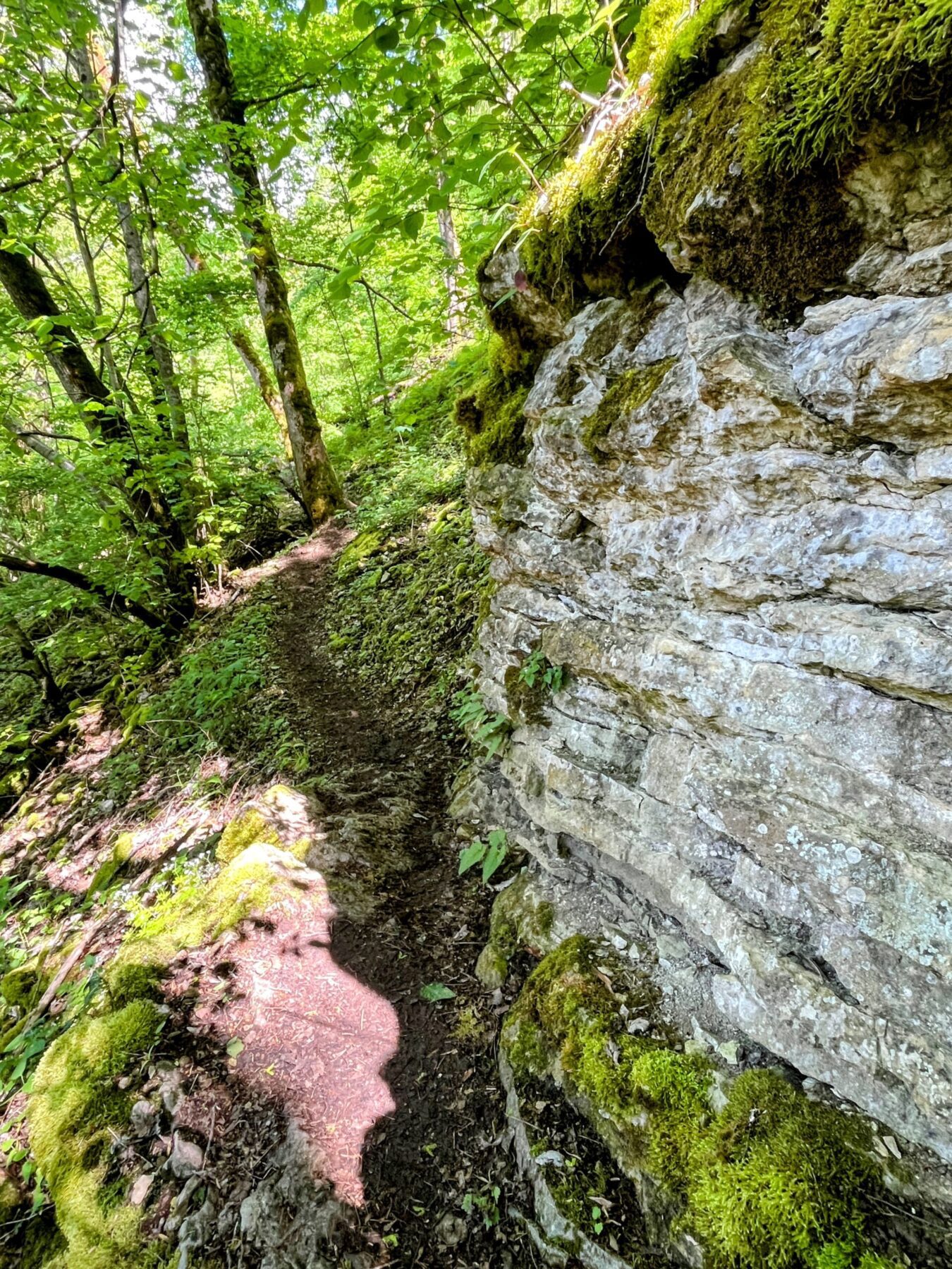 wanderung_schluchtensteig_schwarzwald_