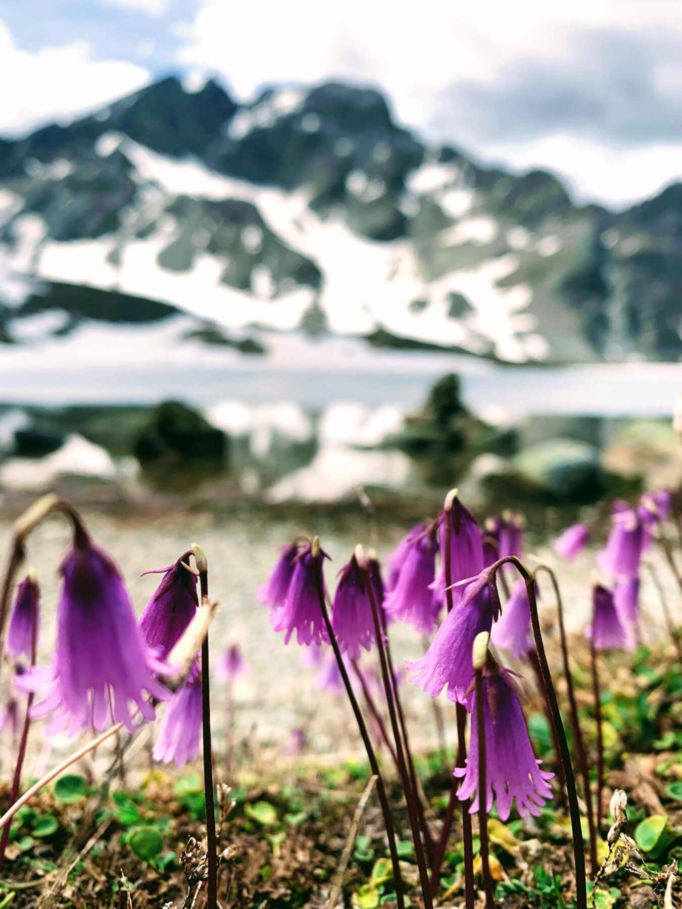 wanderung_segantinihuette_