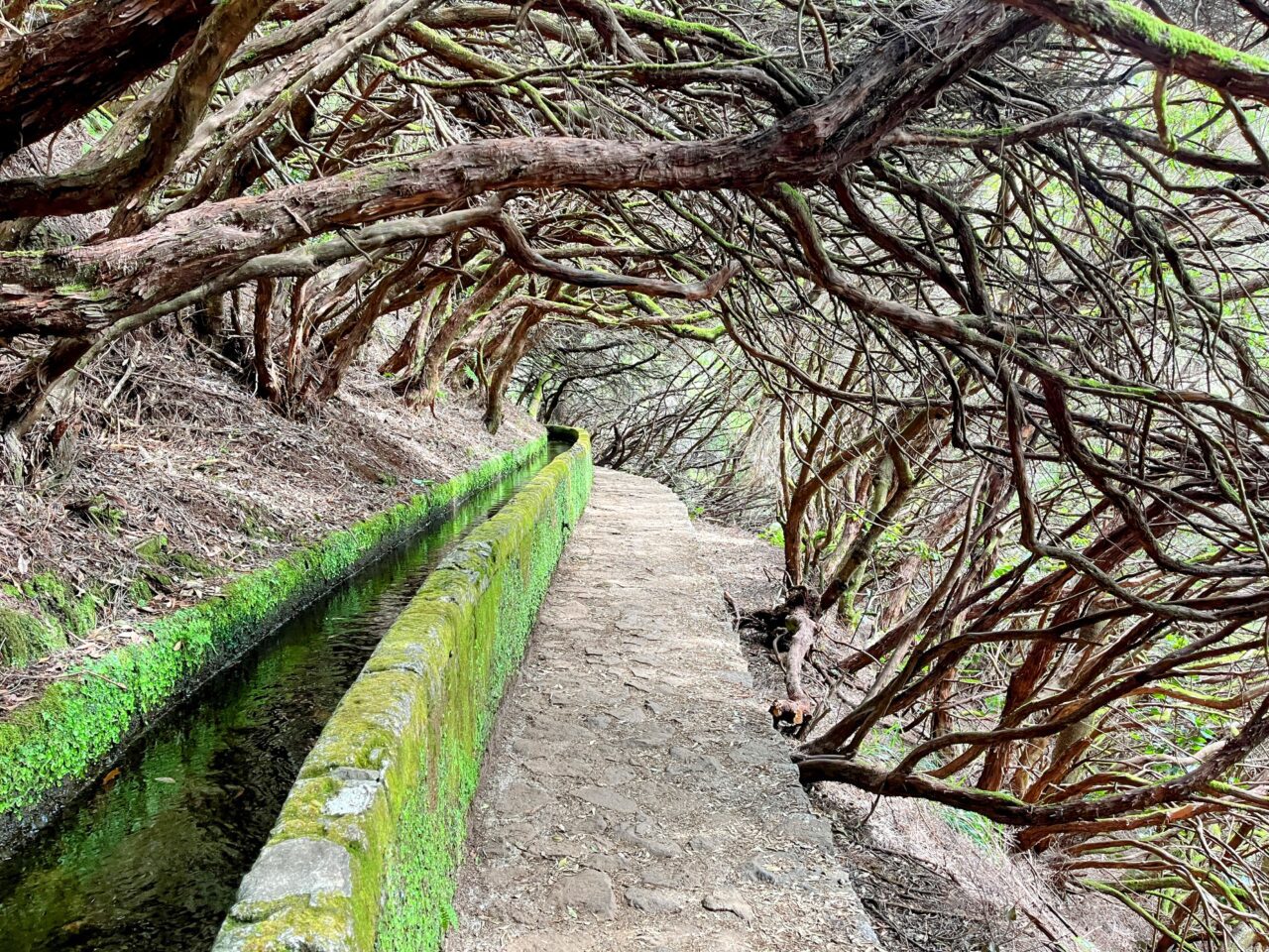 wanderung_wanderung_25_fontes_risco_
