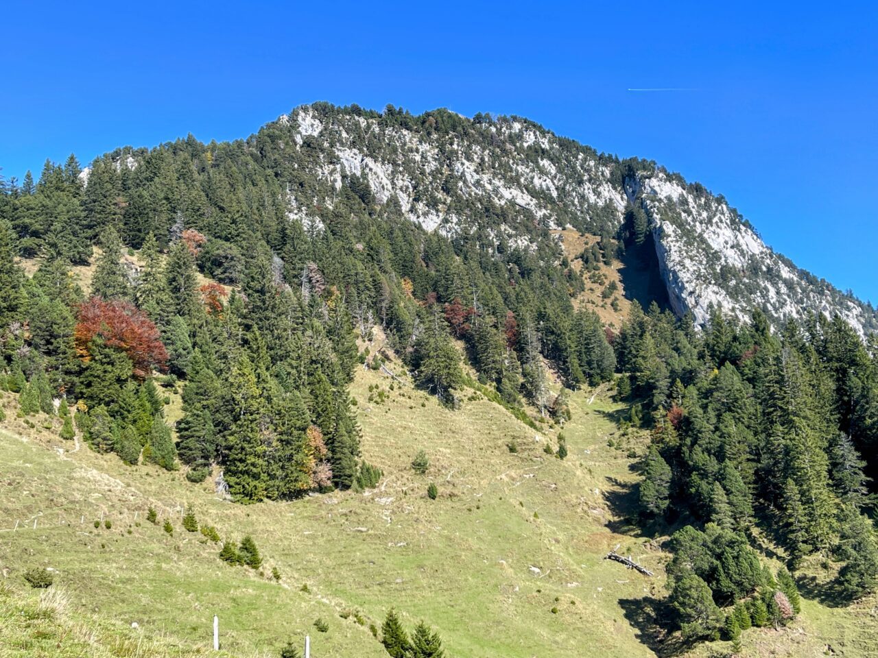wanderung_rigi_hochflue_