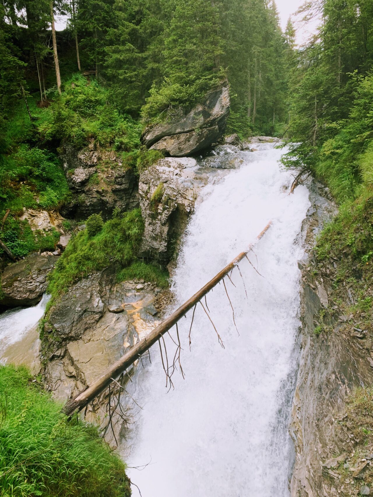 wanderung_Wasserweg_Flims_