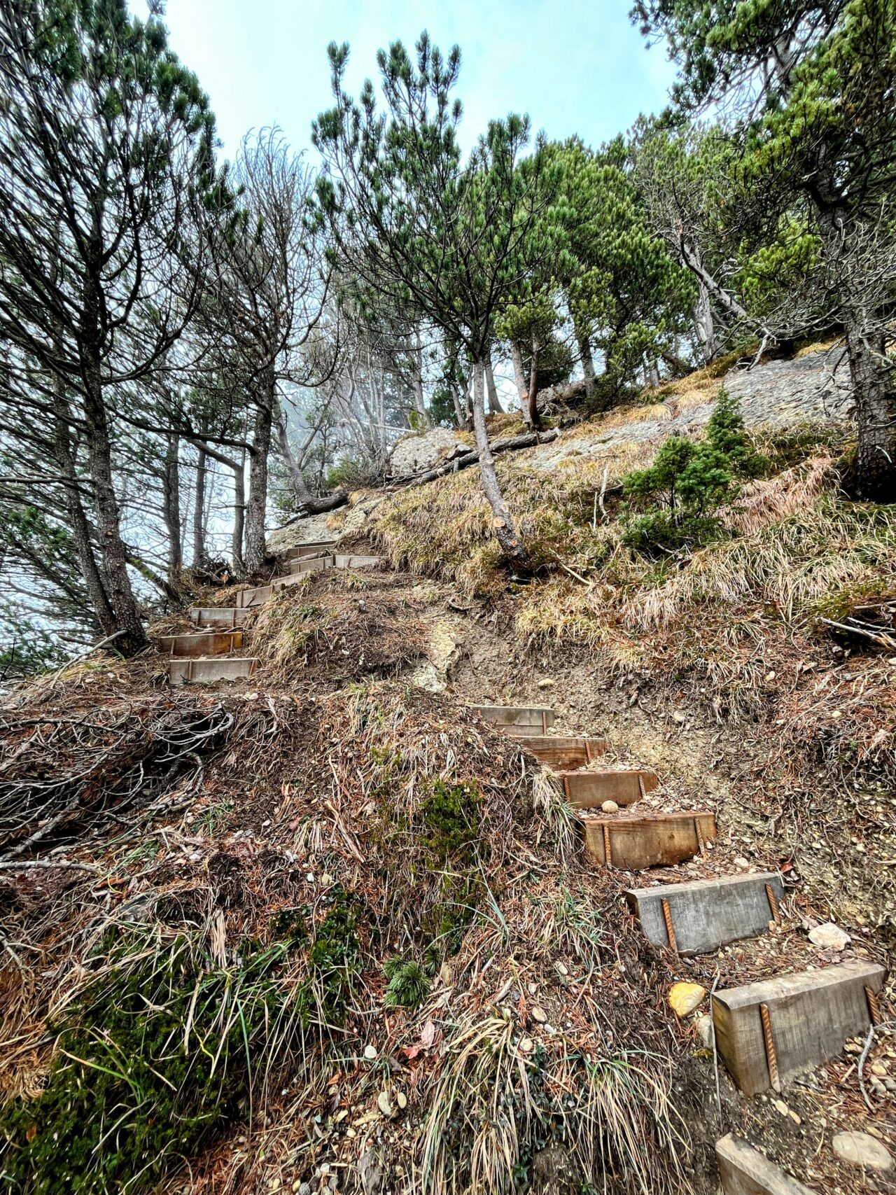 wanderung_gnipen_wildspitz_
