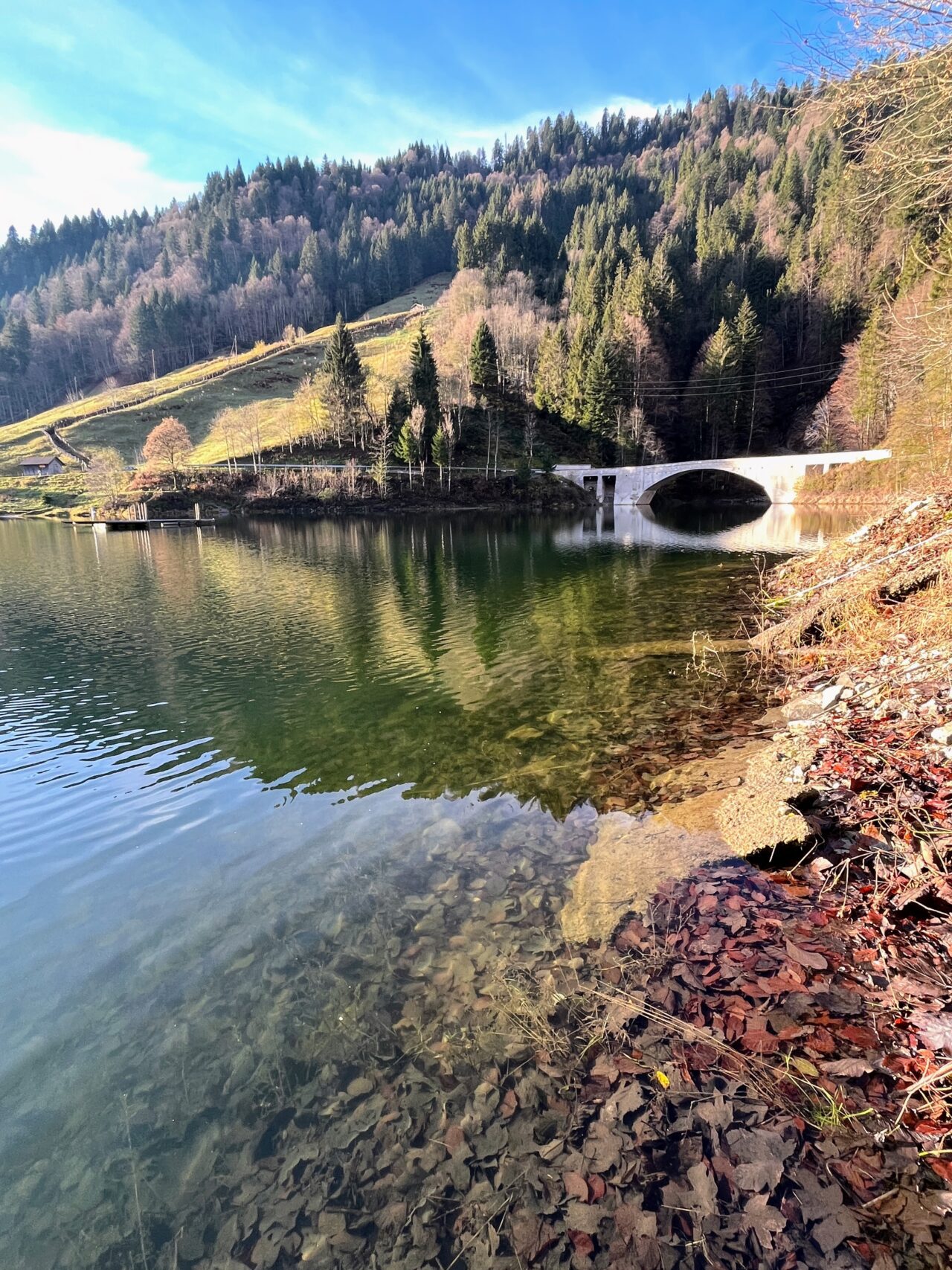 wanderung_waegitalersee_gross_aubrig_