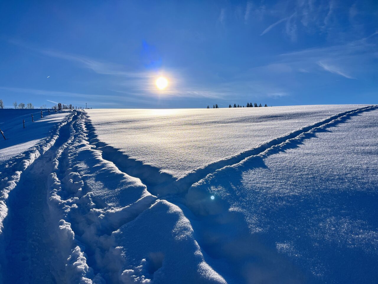 schneeschuhwanderung_rothenthurm_ahoren_biberbrugg__IMG_2423