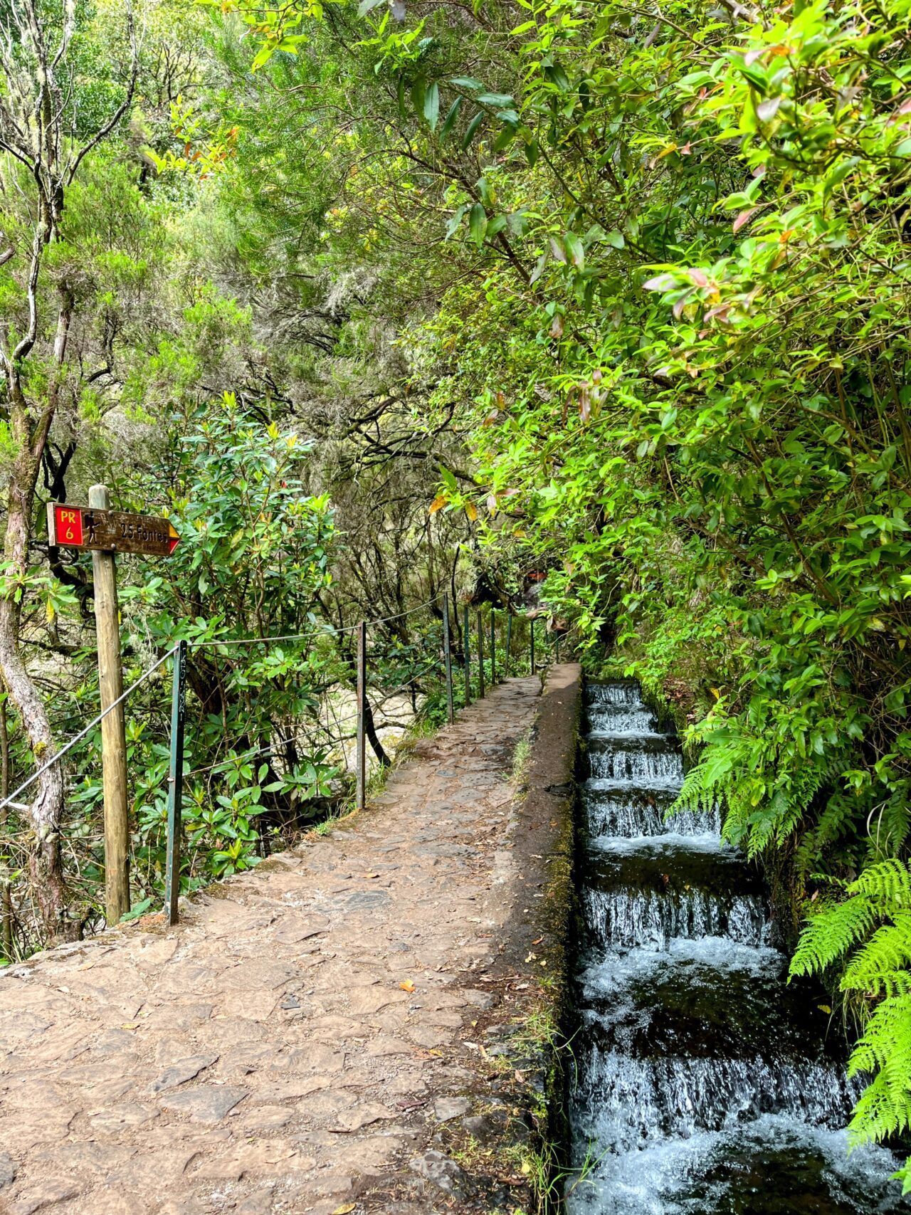 wanderung_wanderung_25_fontes_risco_