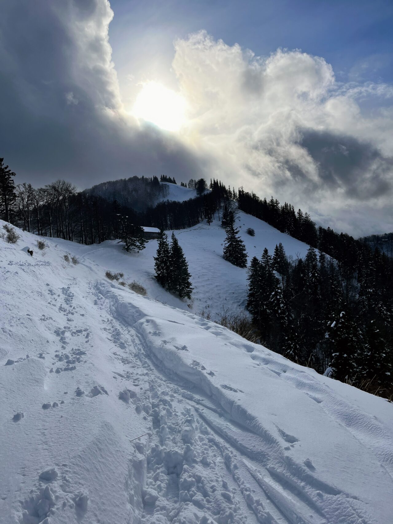 schneeschuhwanderung_schnebelhorn__IMG_2456