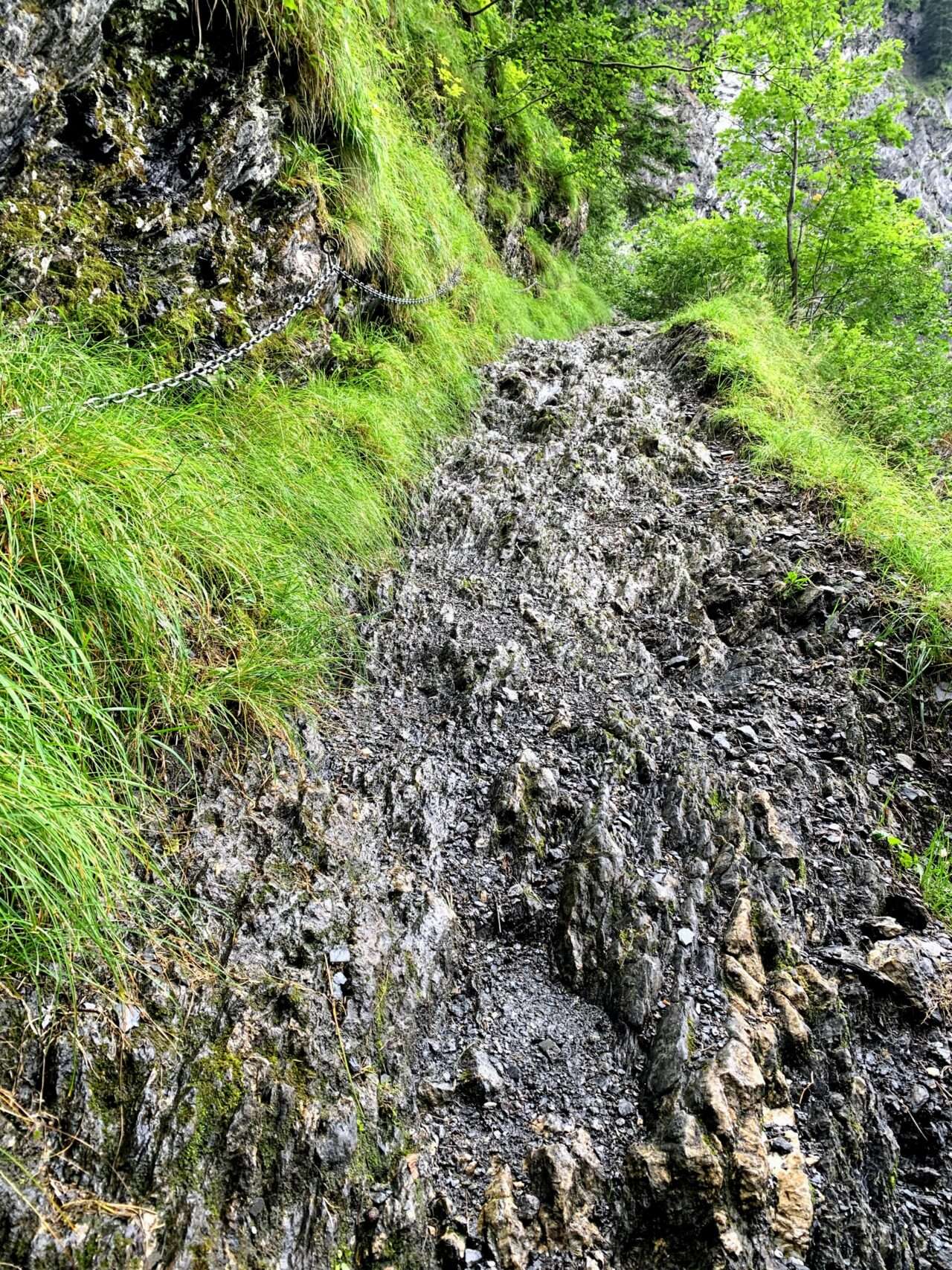 wanderung_martinsmadhuette_