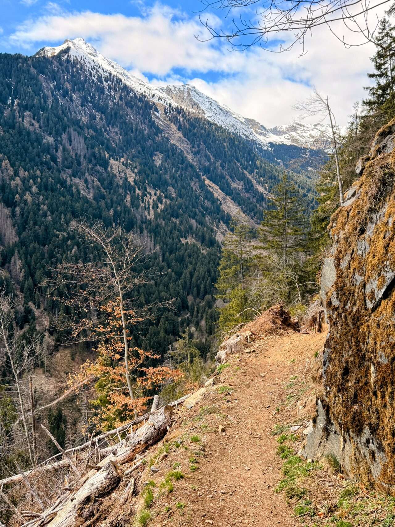 wanderung_Meraner_hoehenweg_hochmuth_mutthoefe_longfall_saltaus_