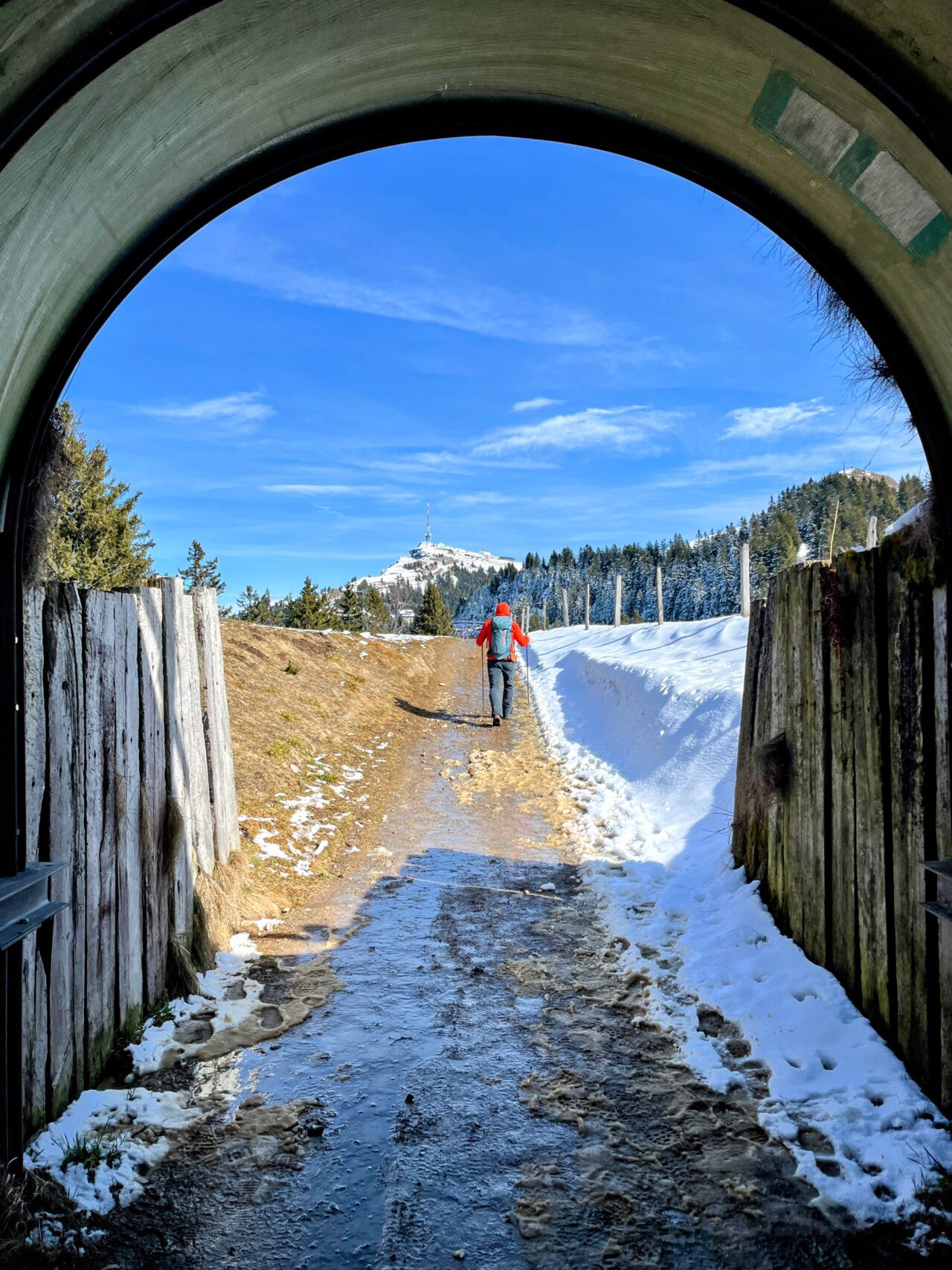 wanderung_greppen_rigi_