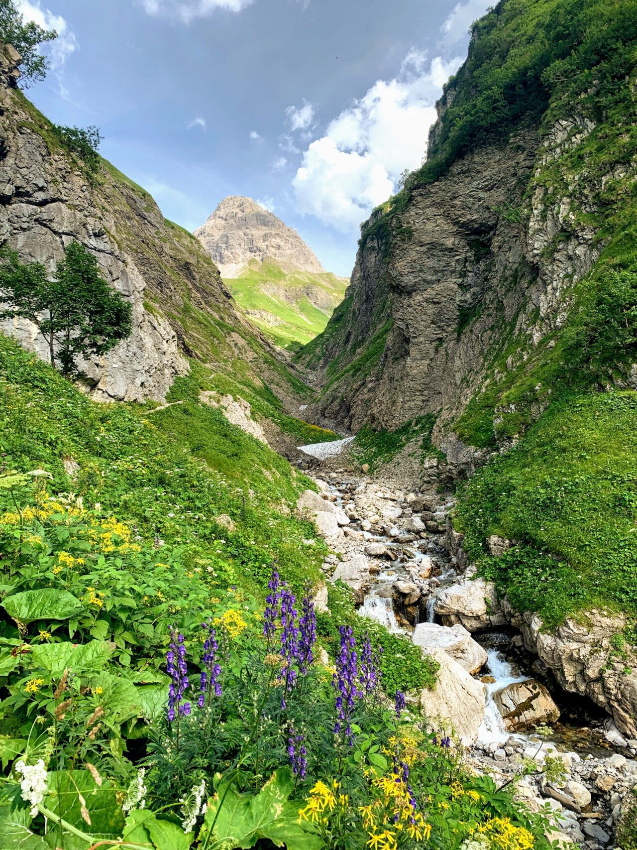 alpenueberquerung_mit_kindern_tag_1_spielmannsau_kemptner_huette_