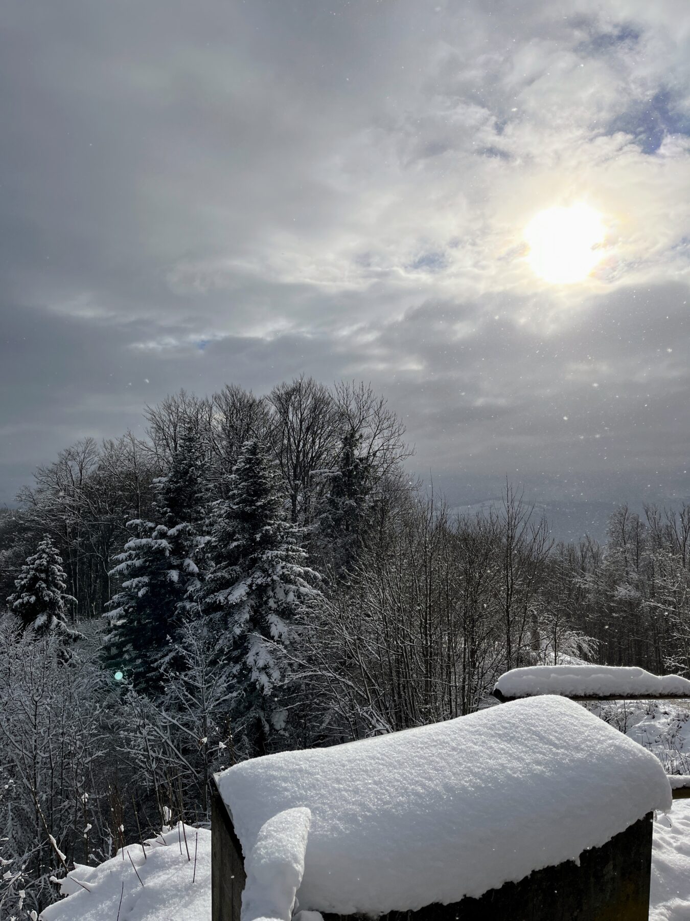 wanderung_albishorn_