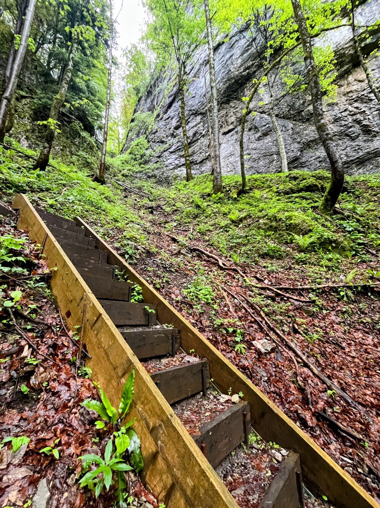 wanderung_hintere_unteriberg_stoos_fronalpstock_