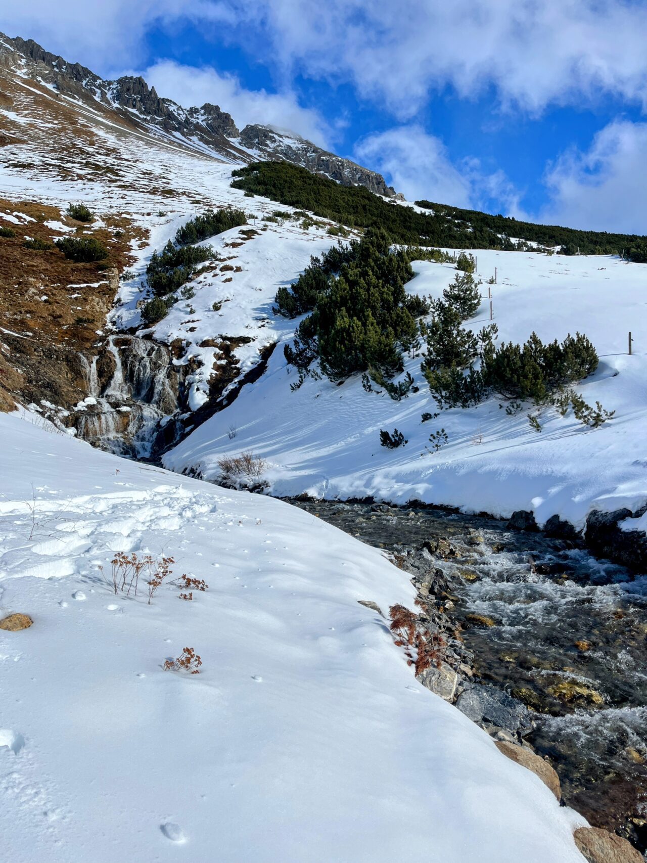 schneeschuhwanderung_preda_albulapass_punt_
