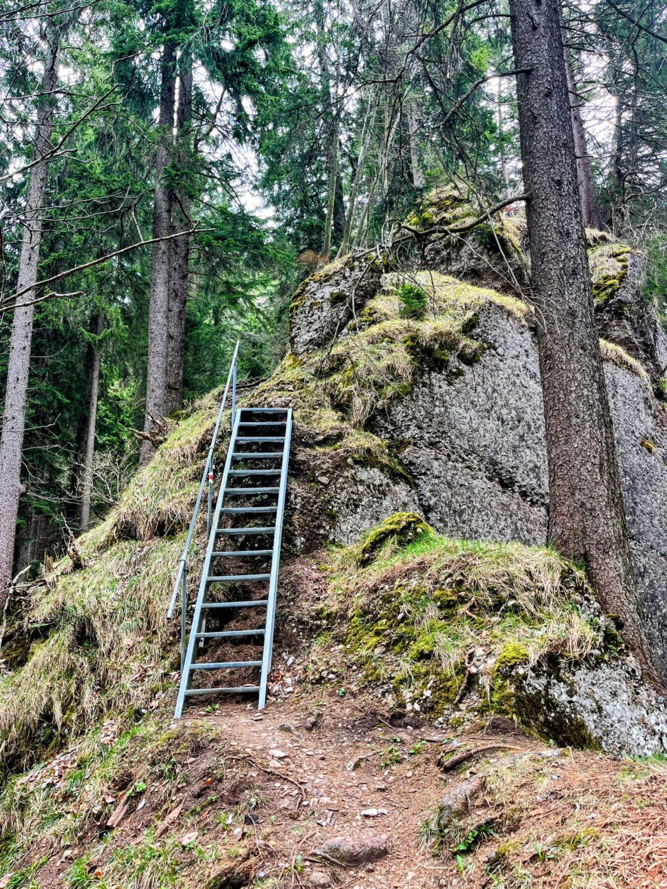 wanderung_weggis_rigi_