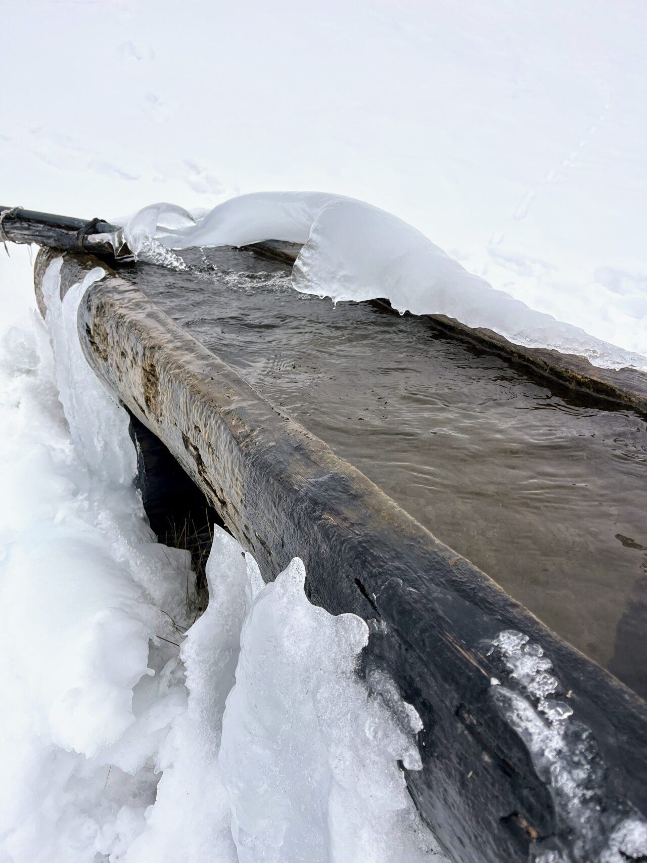 schneeschuhwandern-carschinahuette-_IMG_8060