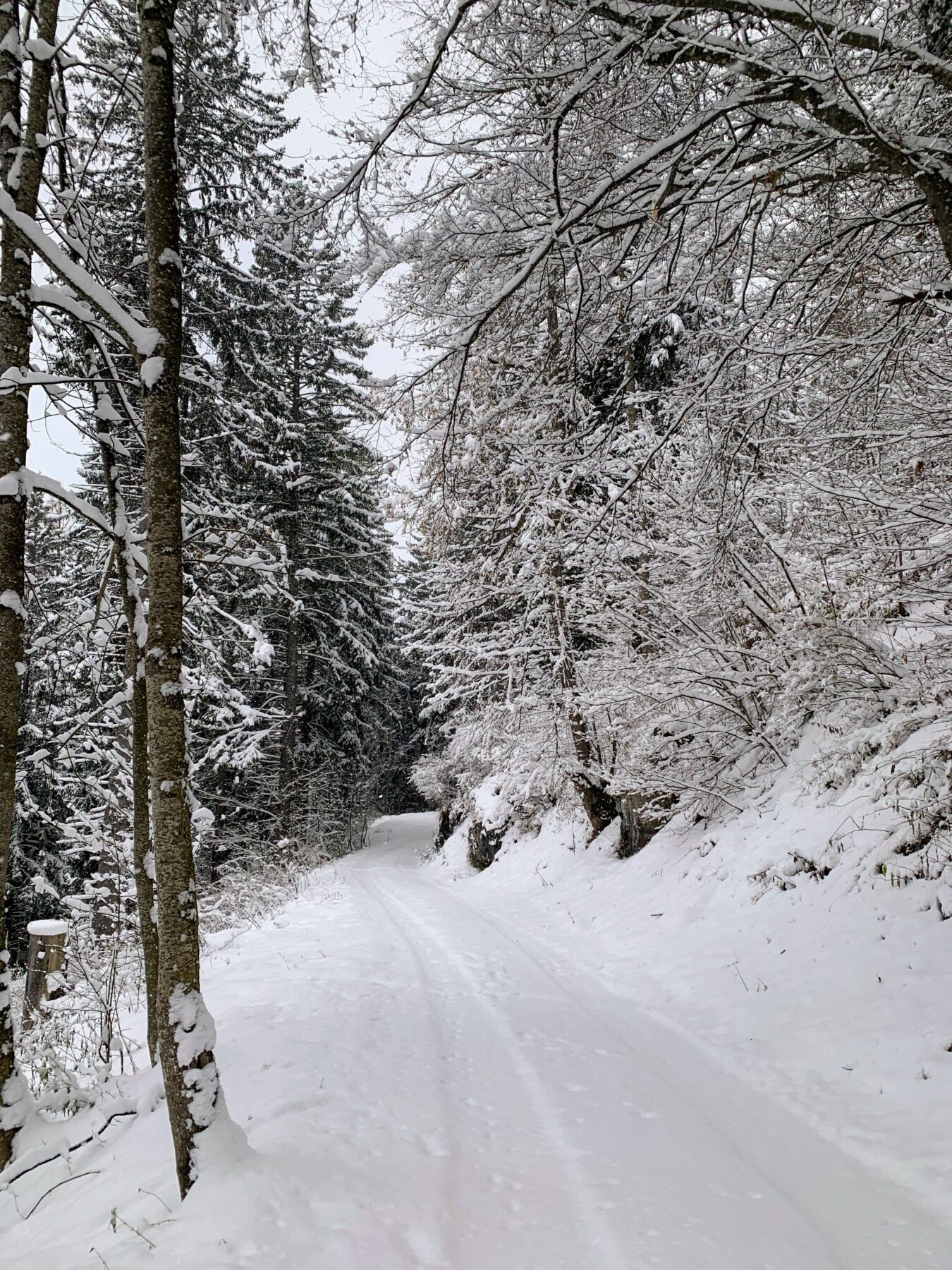 via_alpina_etappe_1_gaflei_sargans_