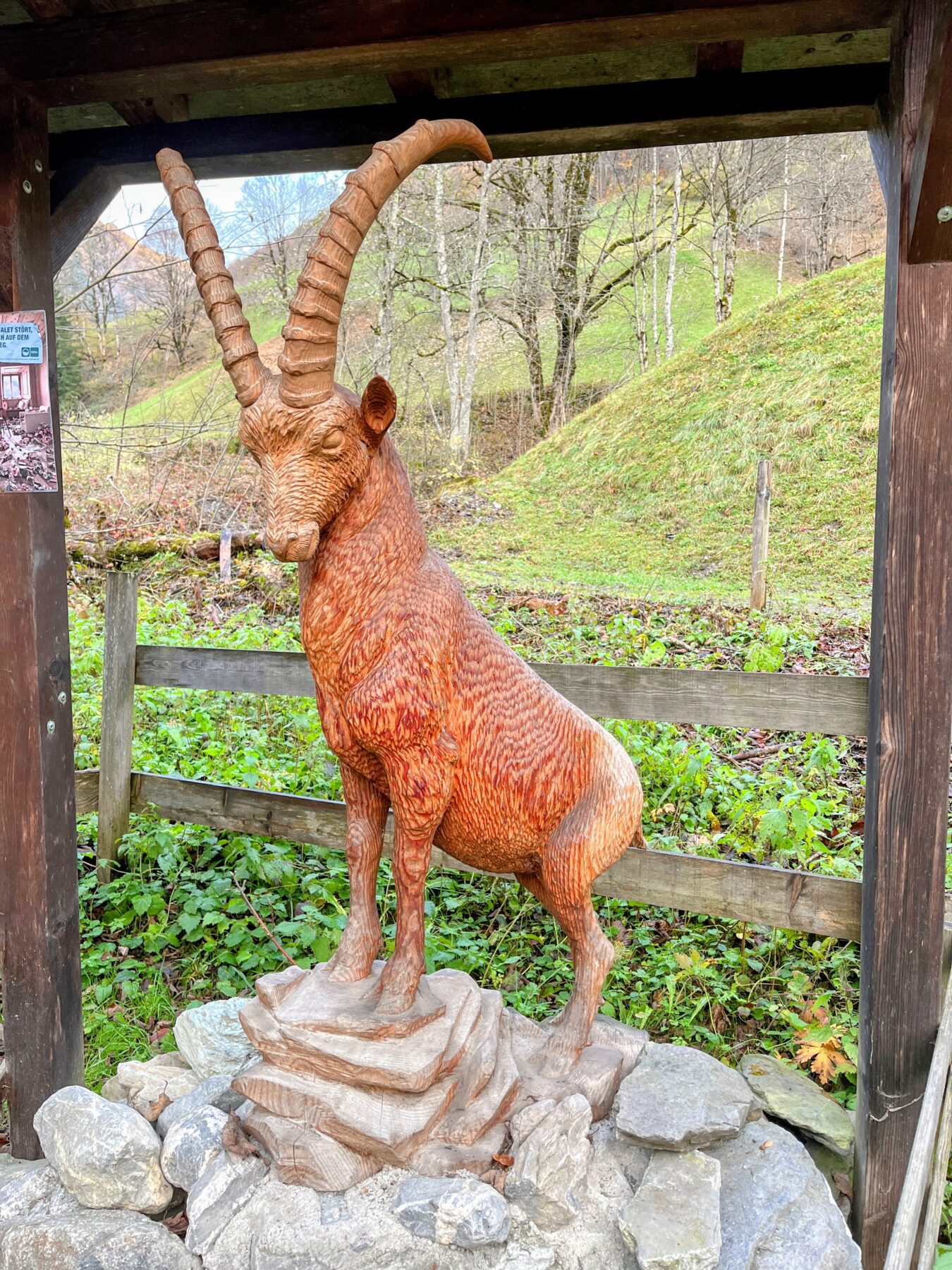via_alpina_etappe_3_weisstannen_elm_