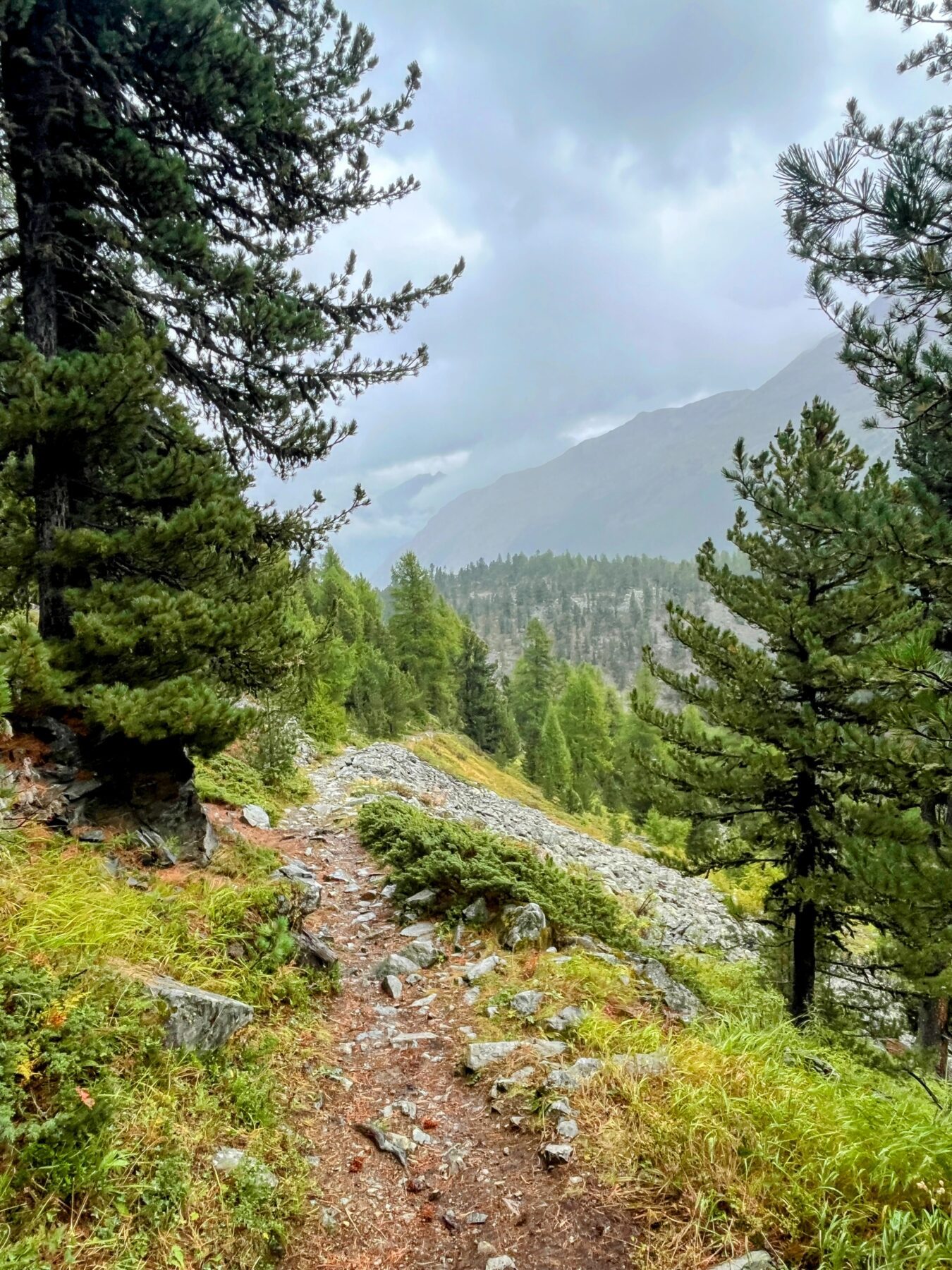 wanderung_bernina_trek_tag_4_murtel_val_roseg_