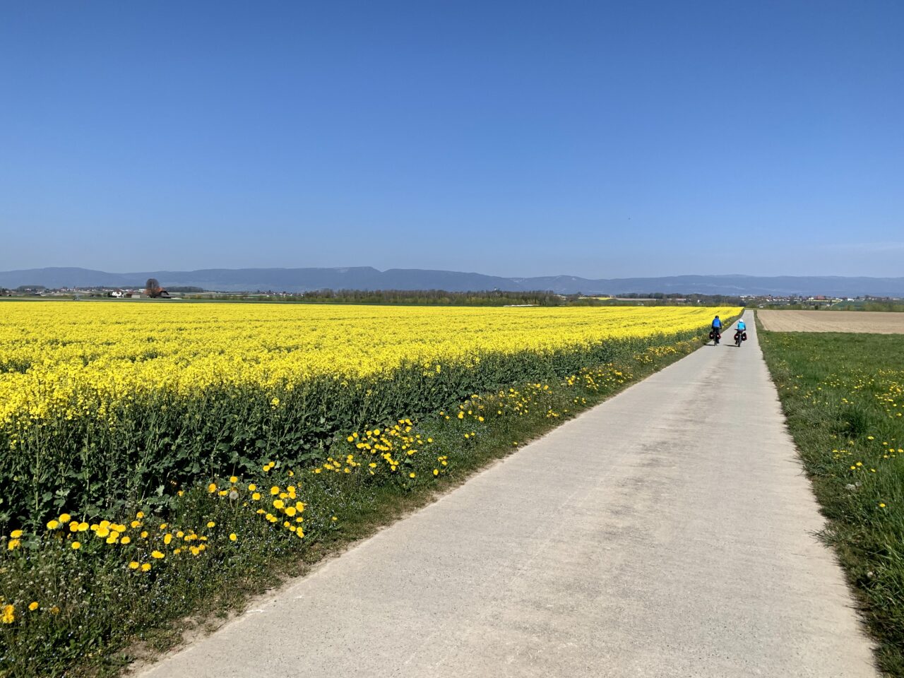 velotour_mittellandroute_avenches_yverdon__IMG_7683