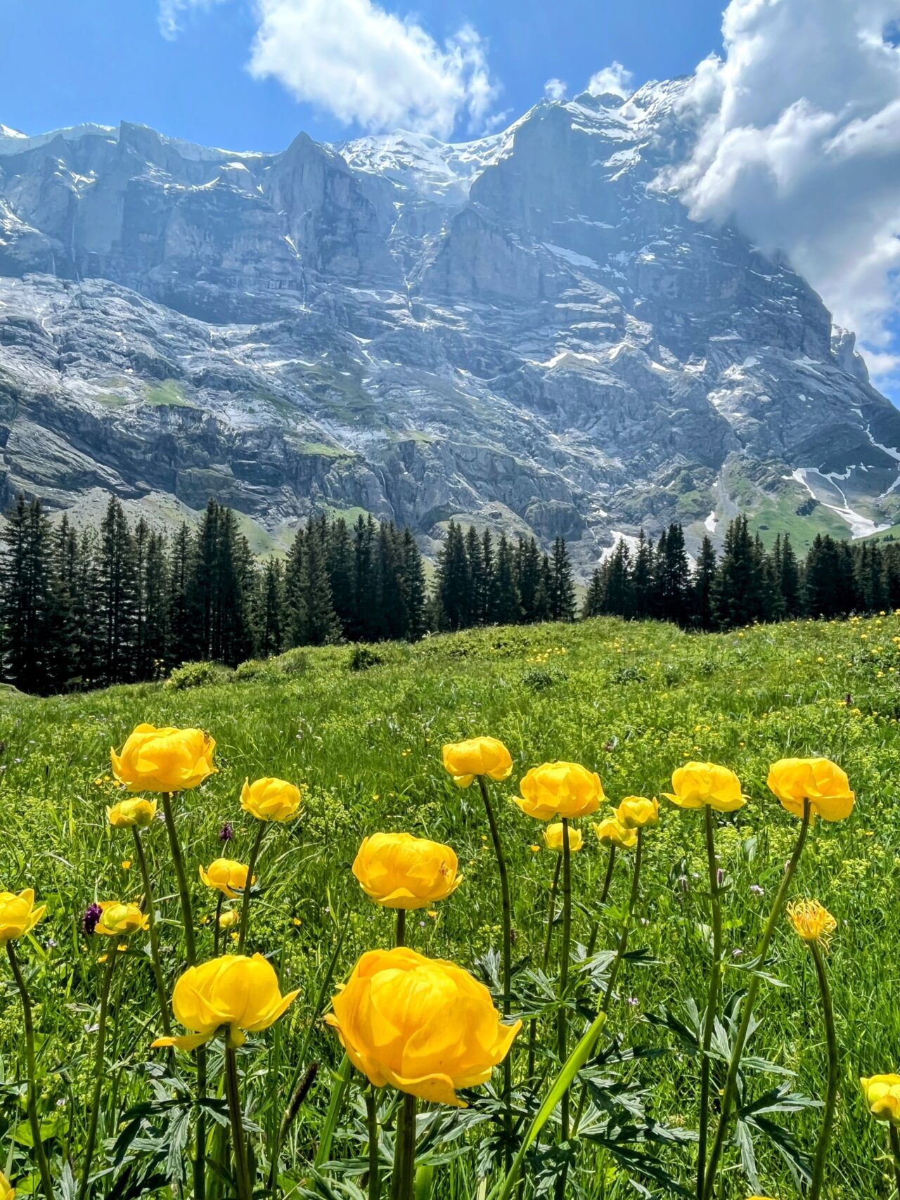 wanderung_via_alpina_meiringen_grindelwald_